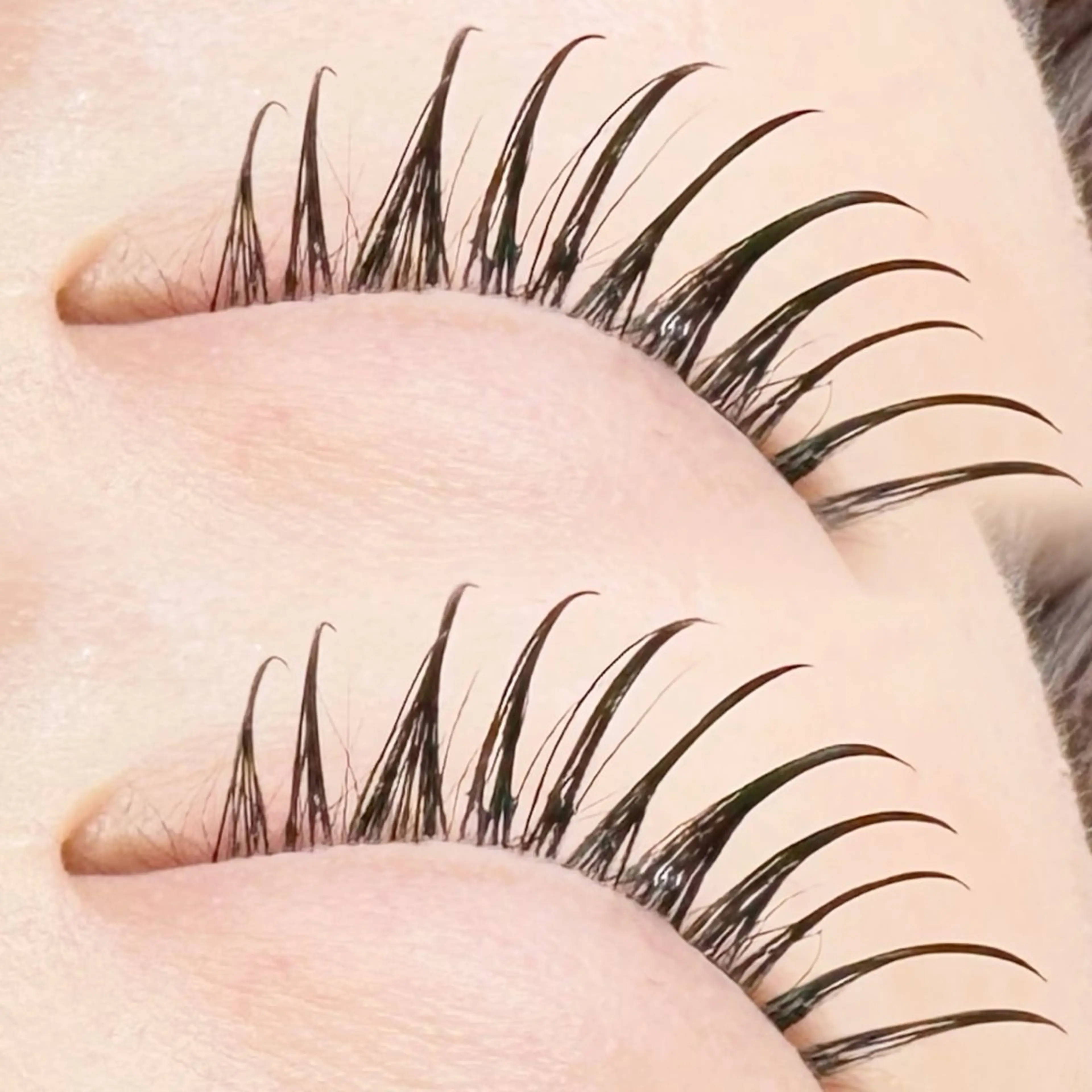 マツエク・マツパ フラットラッシュ マツエク Beauty Atelier enn:所属・谷町四丁目/まつげ 𝐦𝐢𝐤𝐮.のマツエク・マツパデザイン