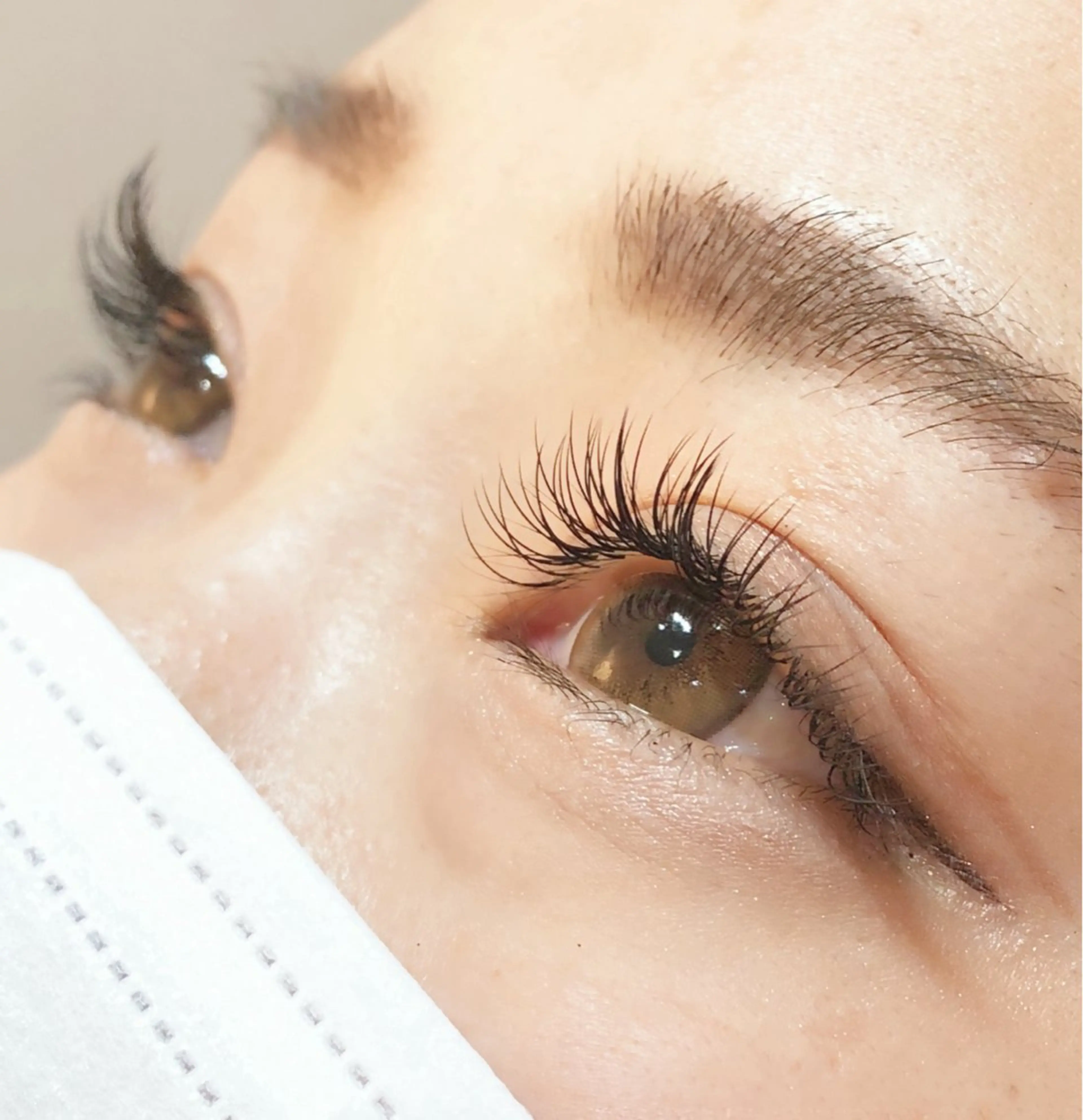 フラットラッシュ100本の写真