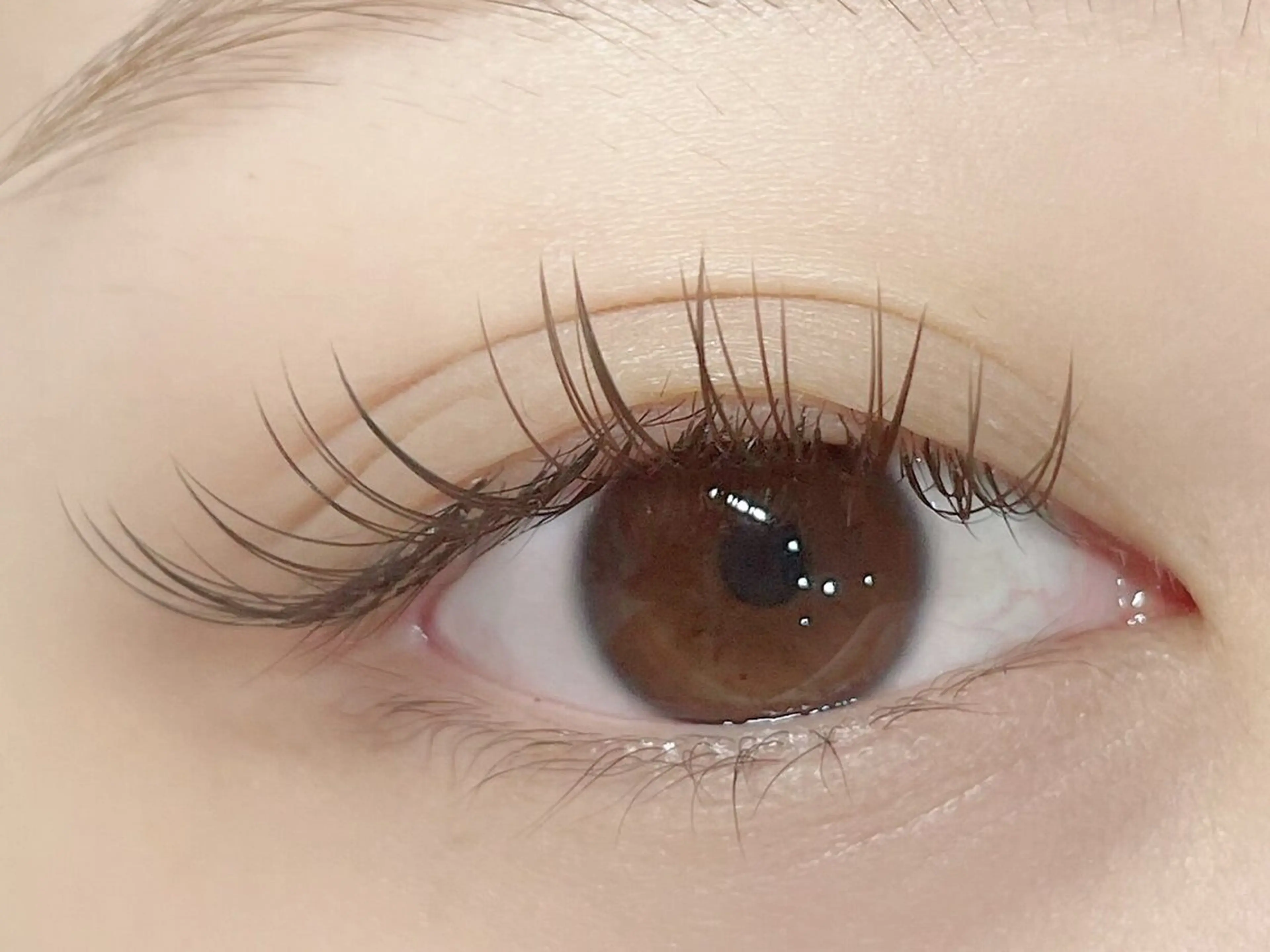 フラットマットラッシュ120本まで✨️の写真