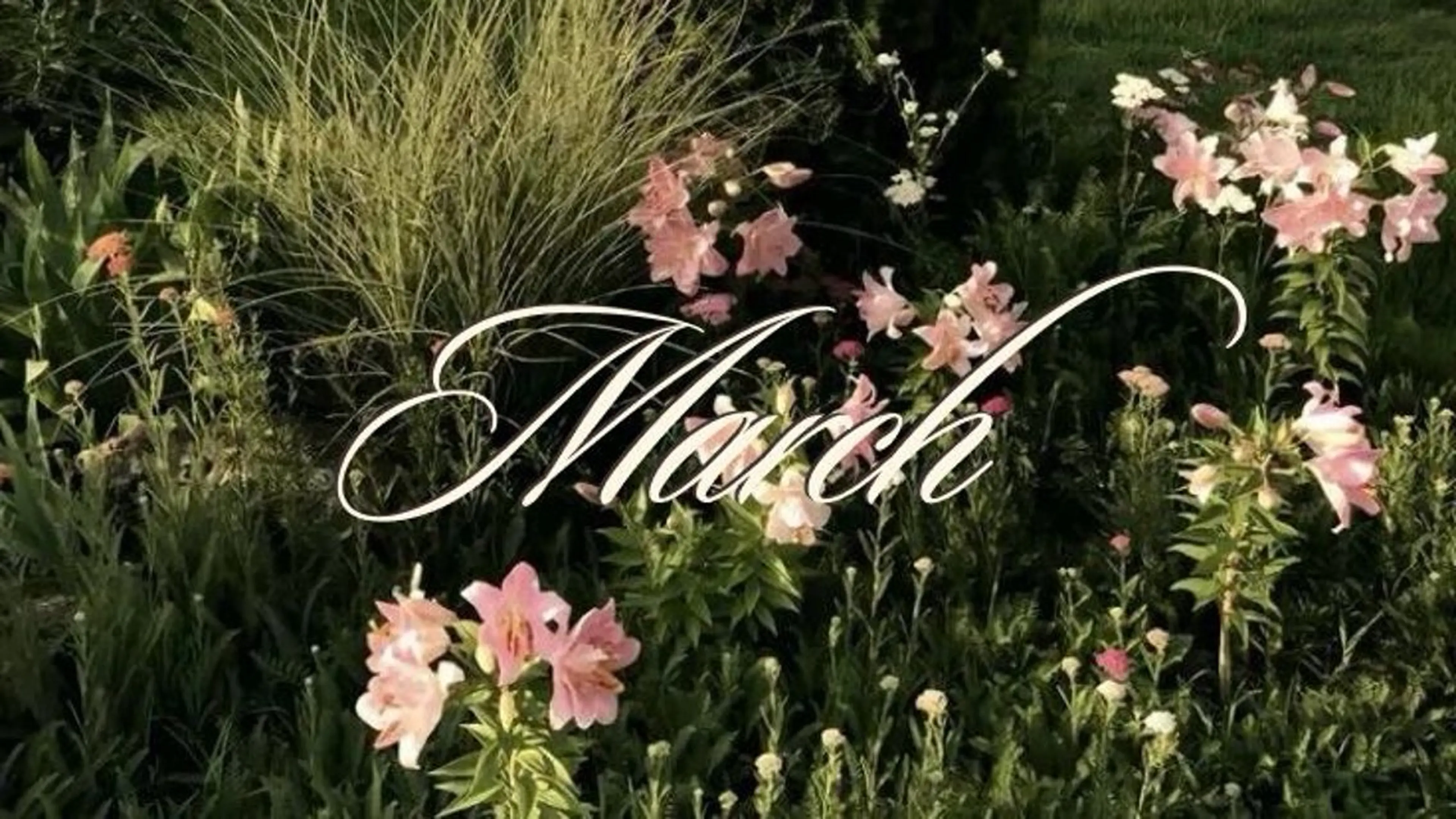 ネイル ハンドネイル Hata nail 🎀個性派ニュアンスのネイルデザイン