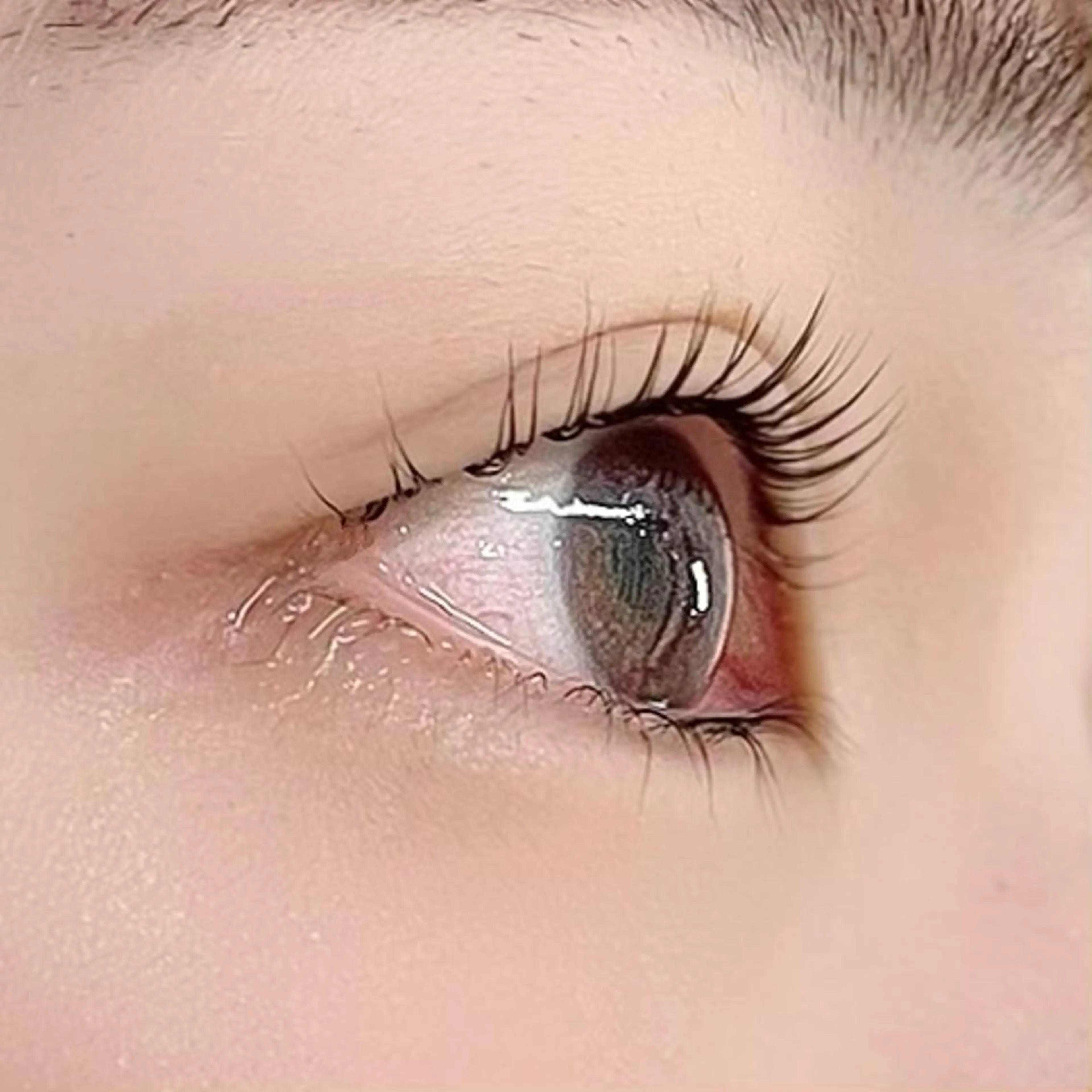 マツエク・マツパ パリジェンヌラッシュリフト EYEMAJIC Pure★高見の眉毛・アイブロウイメージ