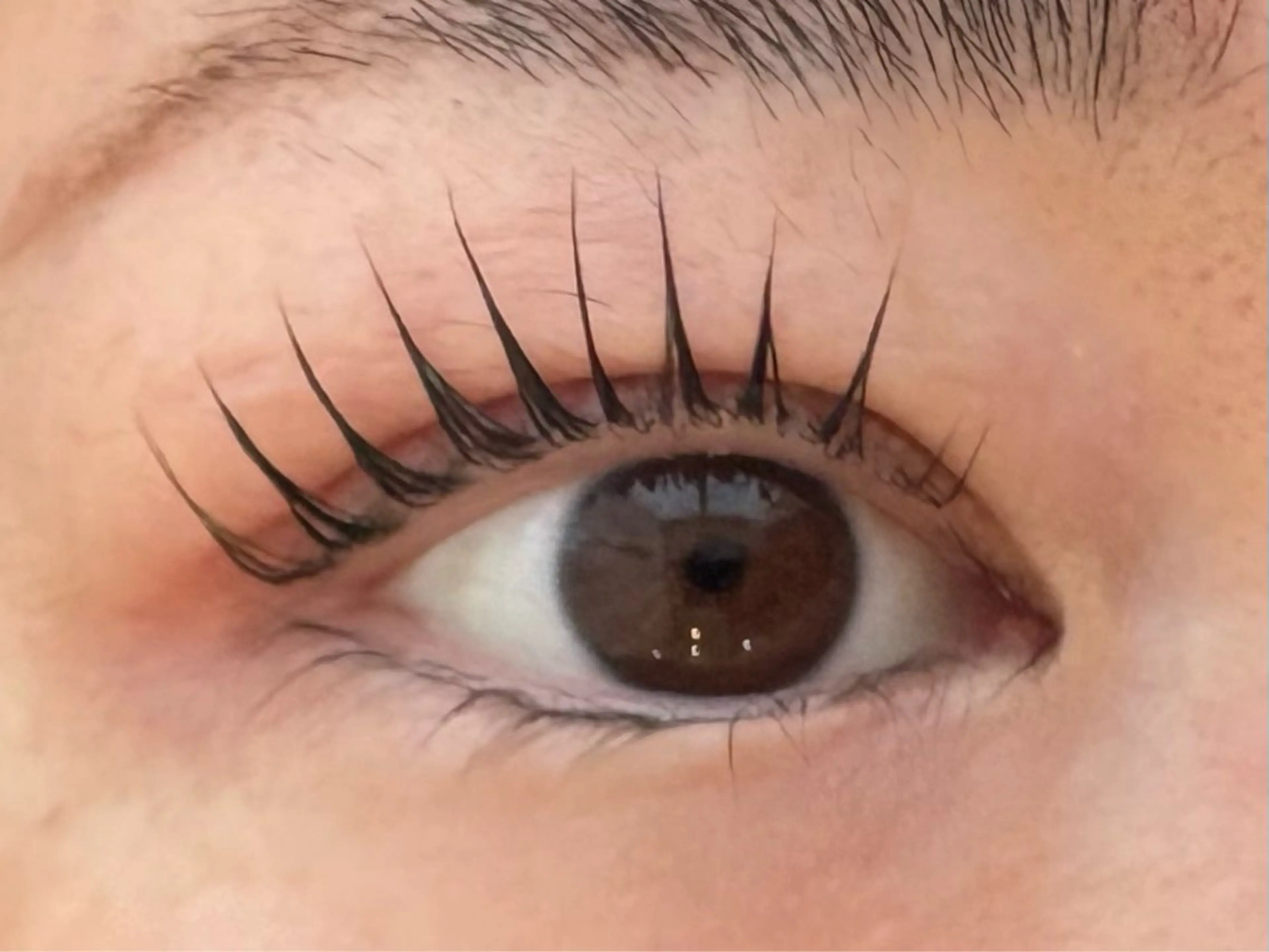 マツエク・マツパ パリジェンヌラッシュリフト anela MOMOKA🎀のマツエク・マツパデザイン