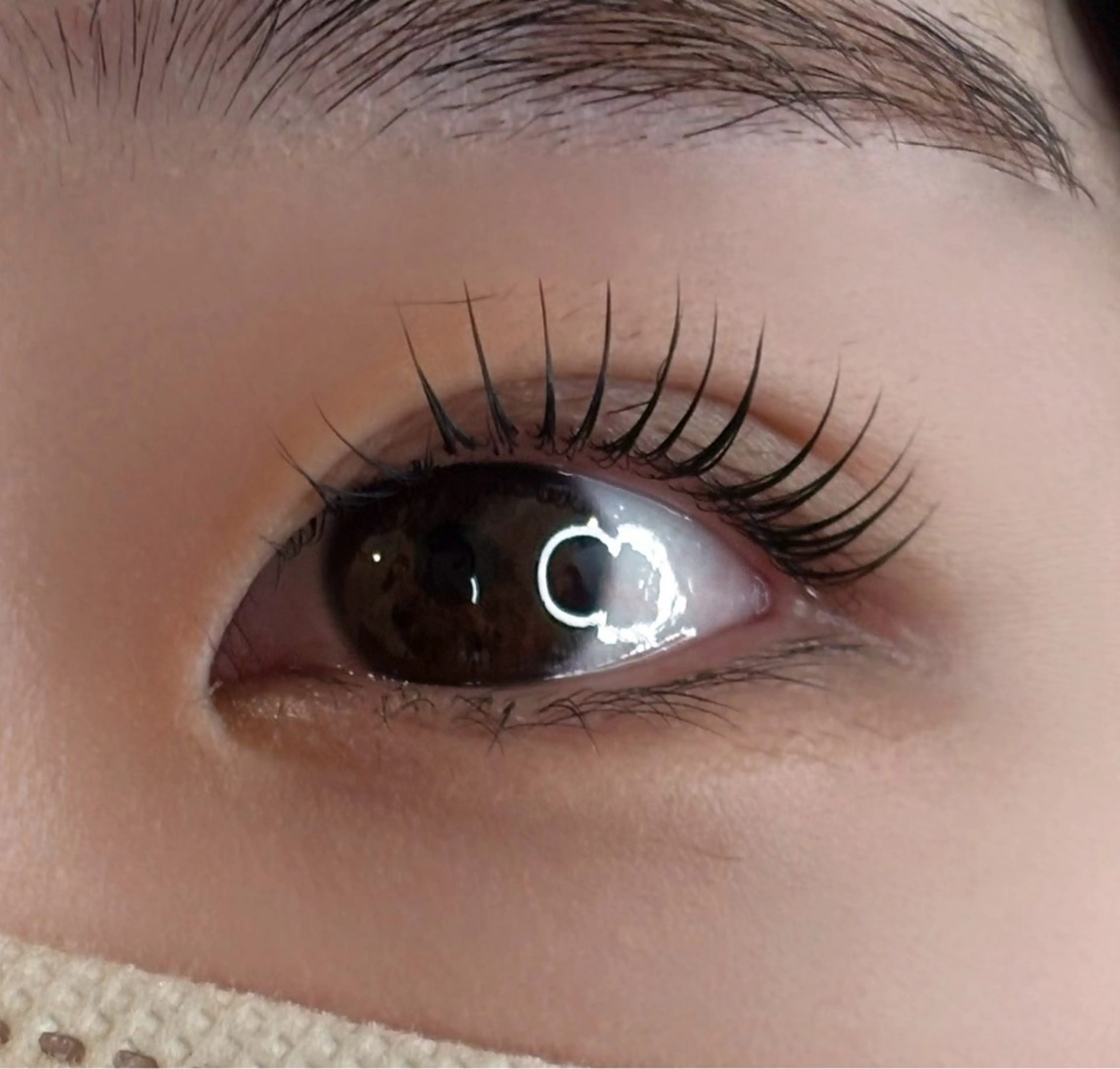 パリジェンヌラッシュリフトの写真