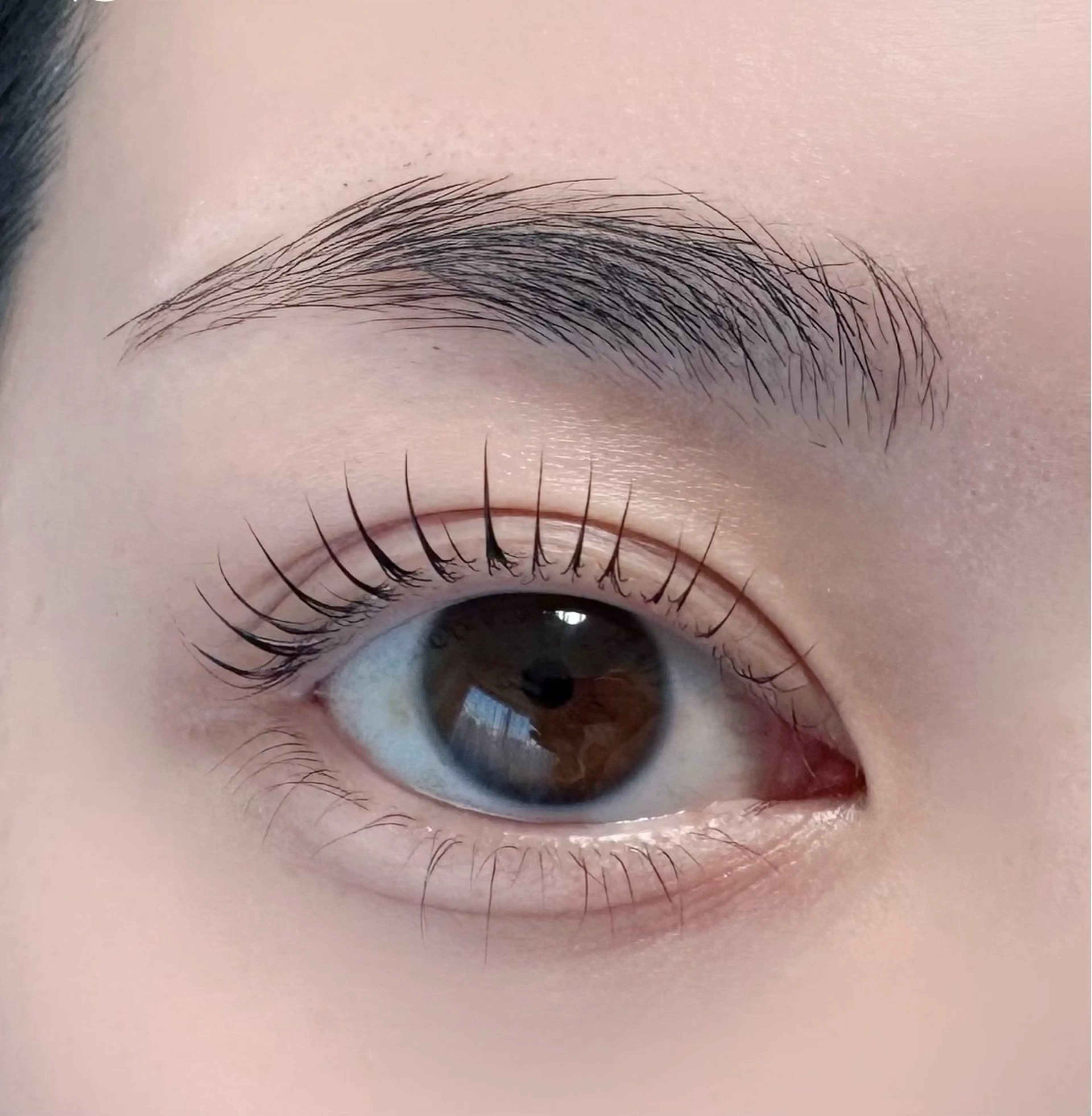 【当日予約OK】まつげパーマ＋眉毛WAX（トリートメント付）¥5500の写真