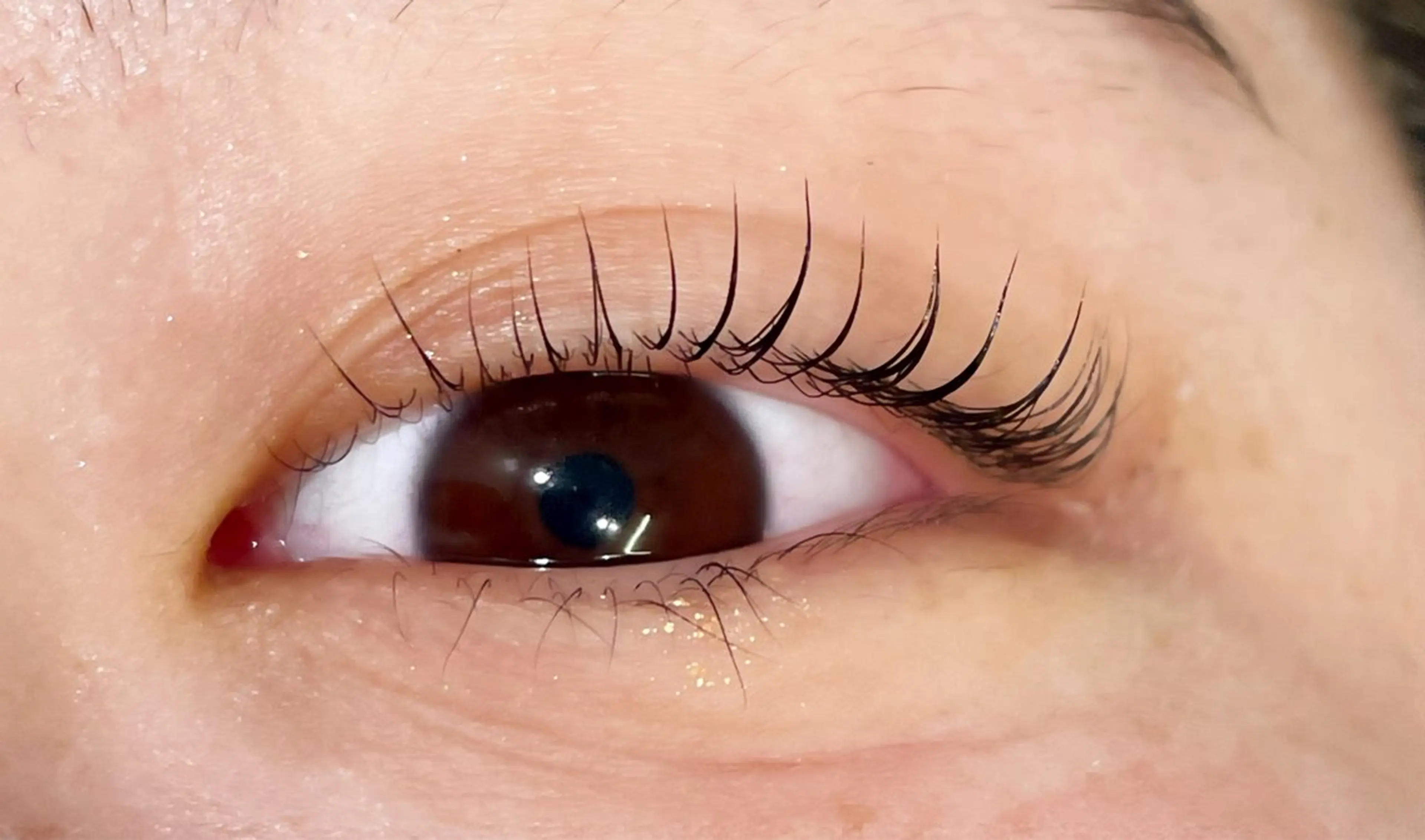 ✨まつ毛パーマ(アイシャンプー付き)5.500円→4,400円✨の写真