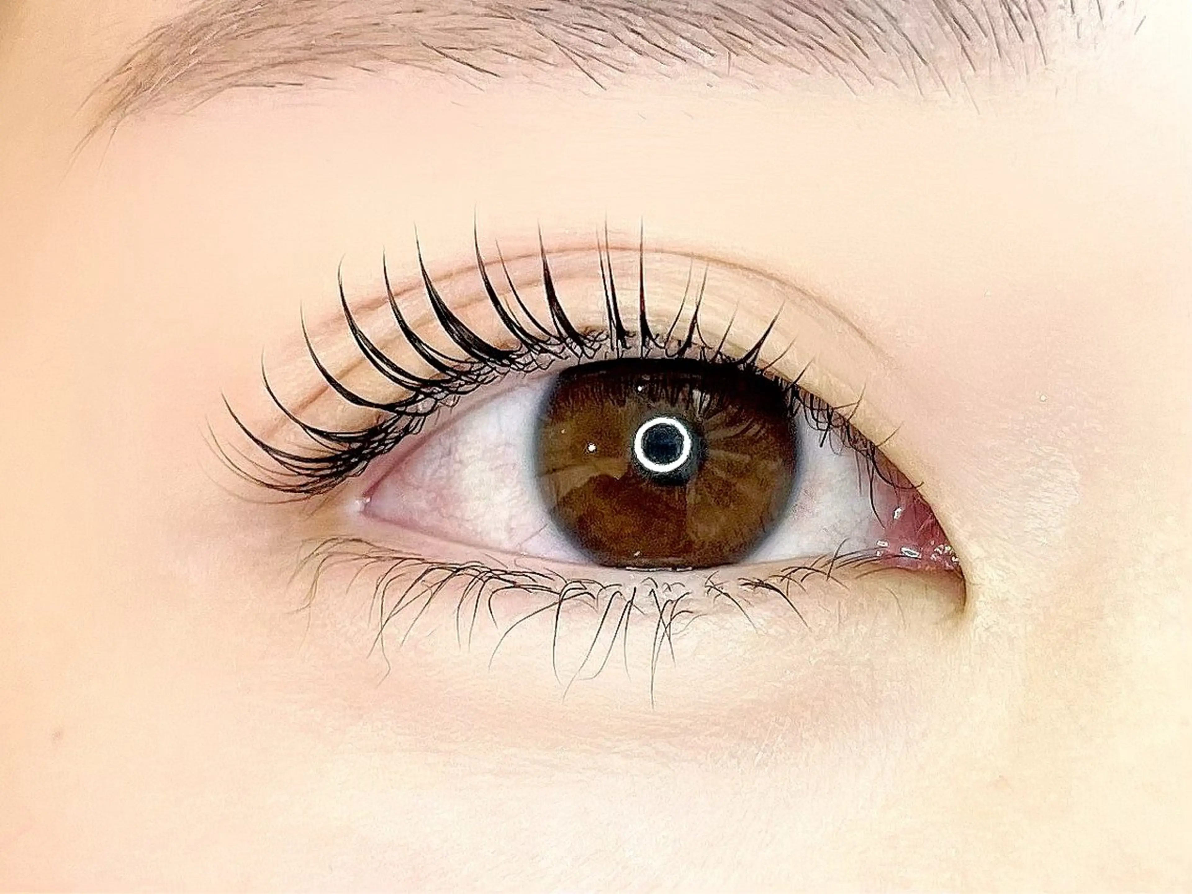 マツエク・マツパ Honey&Miel YUI🐱🐾のマツエク・マツパデザイン