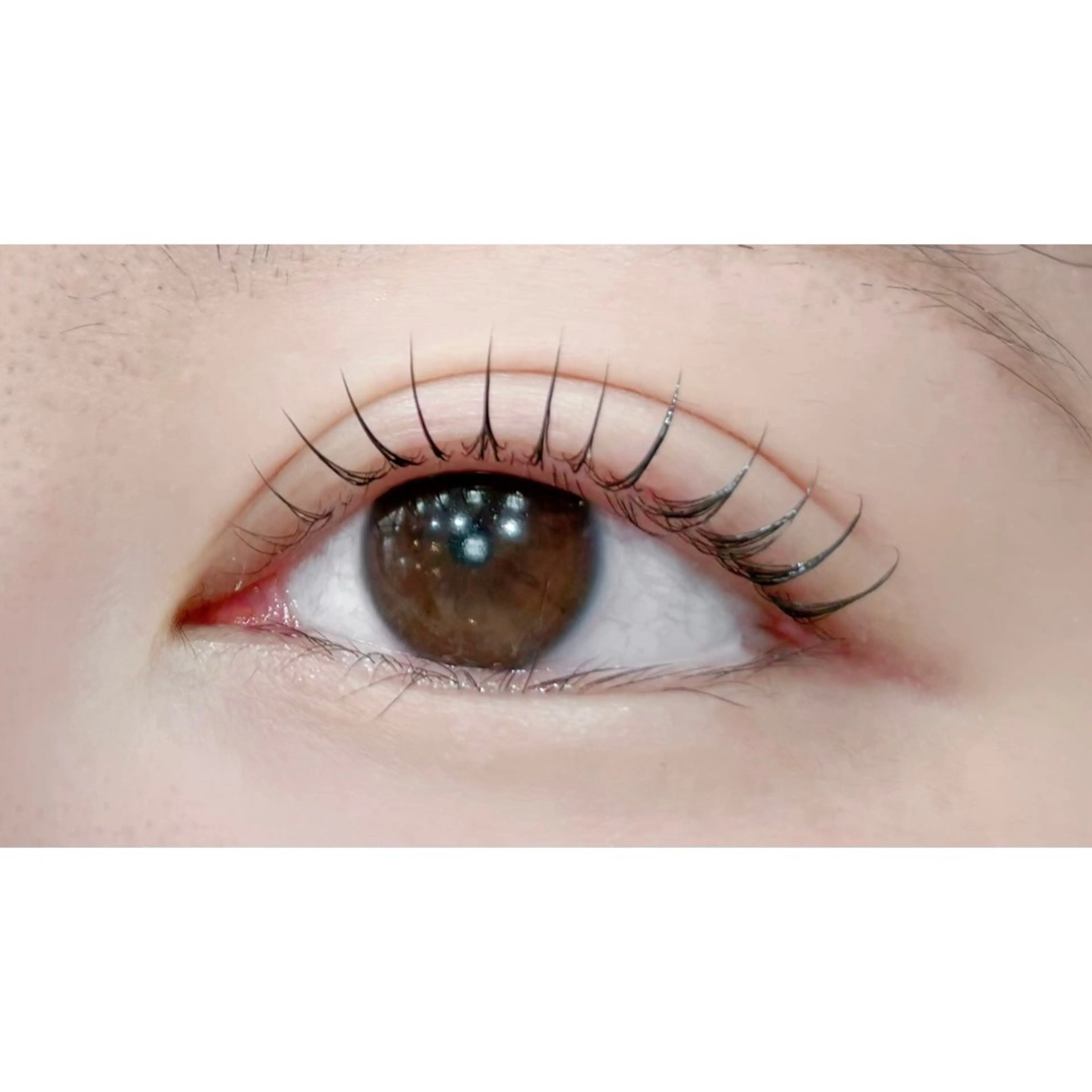 マツエク・マツパ マツパ アルターエクラ 𓂃𓈒♡mikiのマツエク・マツパデザイン