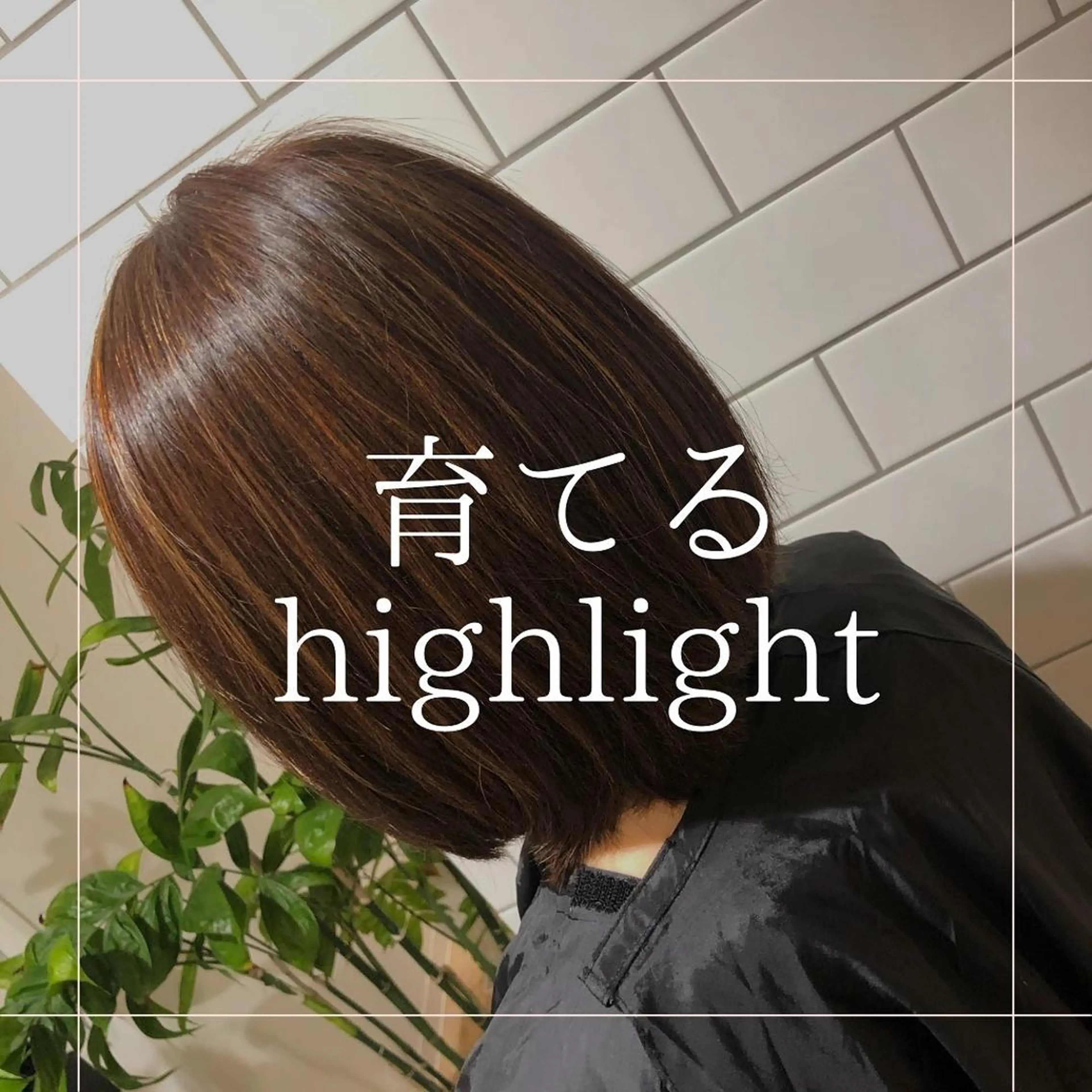 ミディアム カラー ハイライトカラー ハイライト -5歳大人ﾊｲﾗｲﾄ ✨津嘉山のヘアスタイル