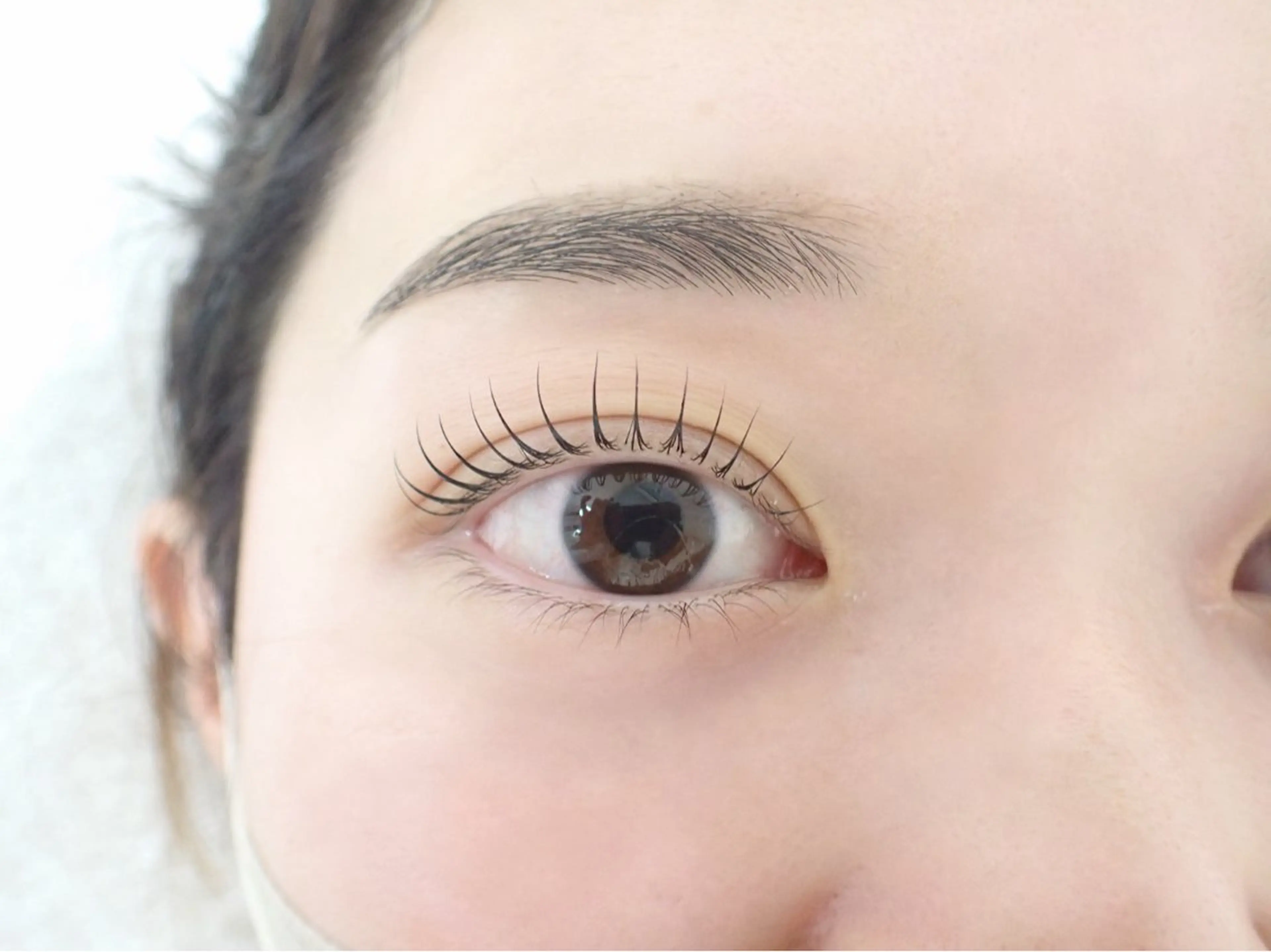 【ミニモ学割u24★まつげパーマ】高持続⭐︎最長2ヶ月　エクステ、マスカラなし限定の写真