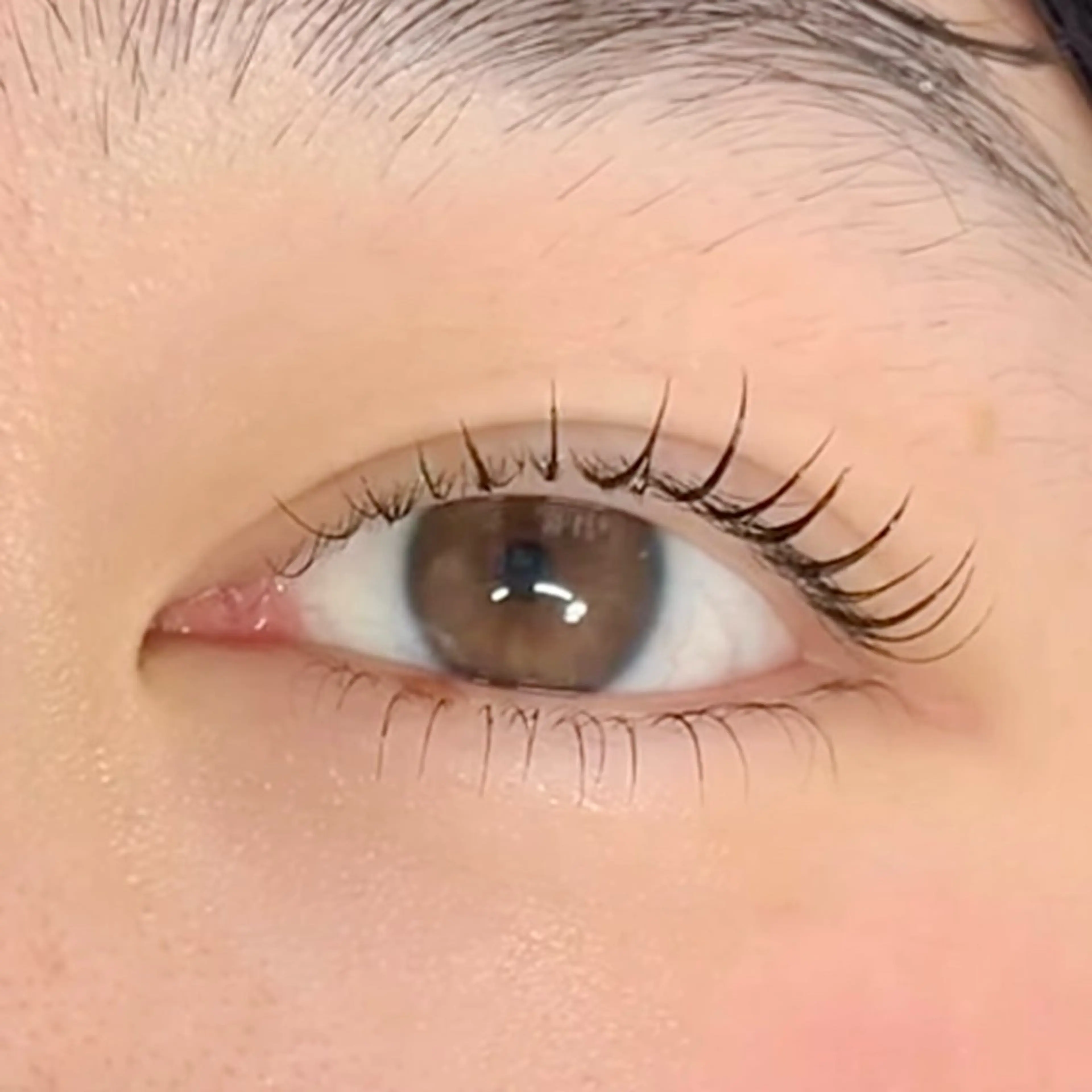 パーマ アイブロウ/HBL 🦄MEMEの眉毛・アイブロウイメージ