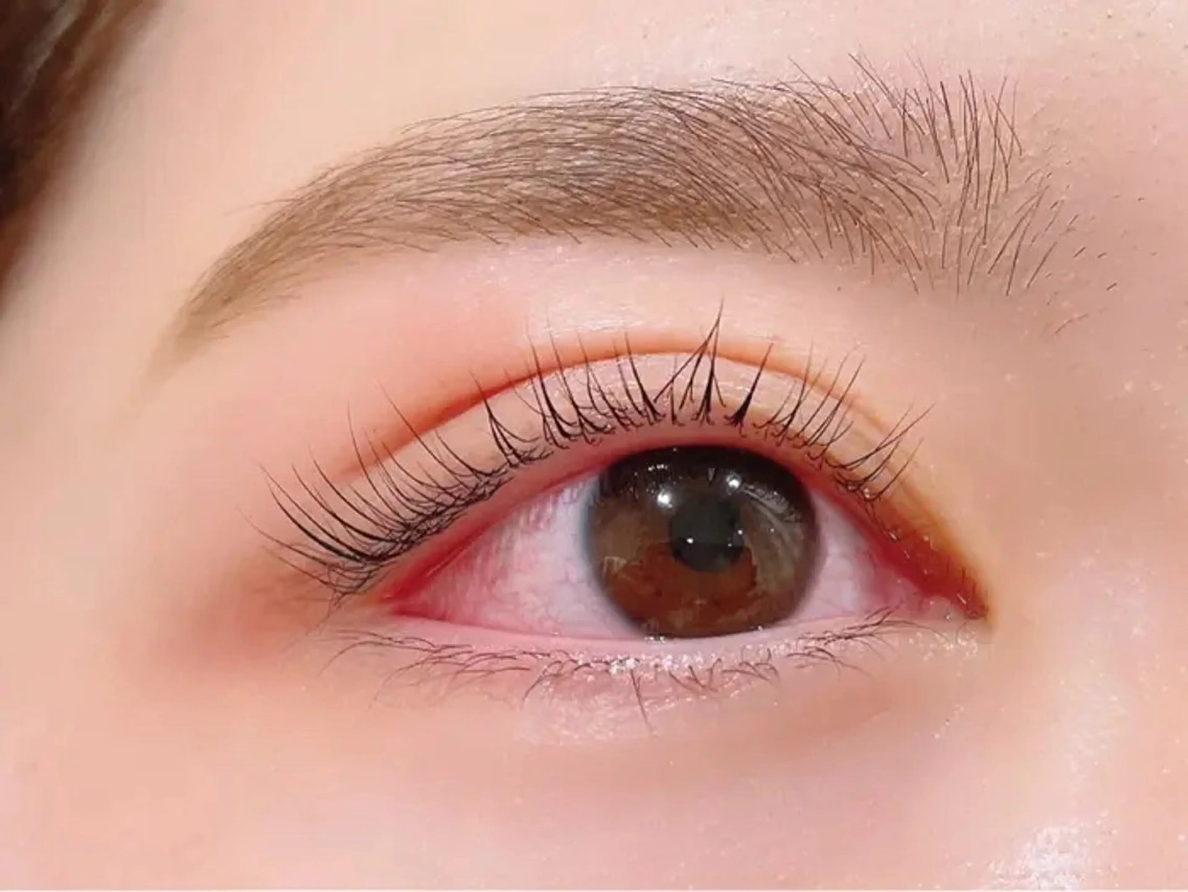 マツエク・マツパ Lafesta Beautyの眉毛・アイブロウイメージ