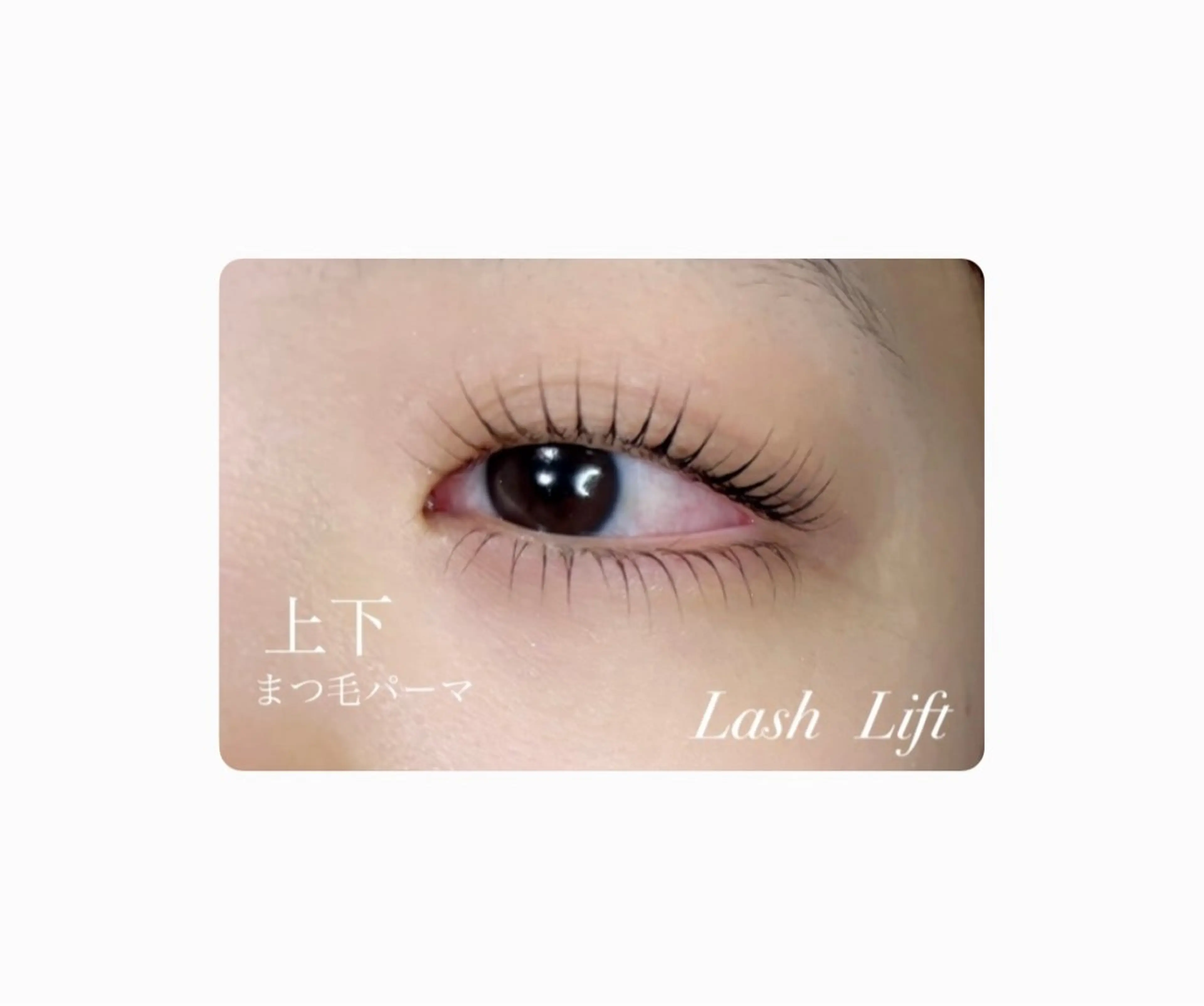久しぶりな方【Lash Lift】上下まつ毛パーマの写真
