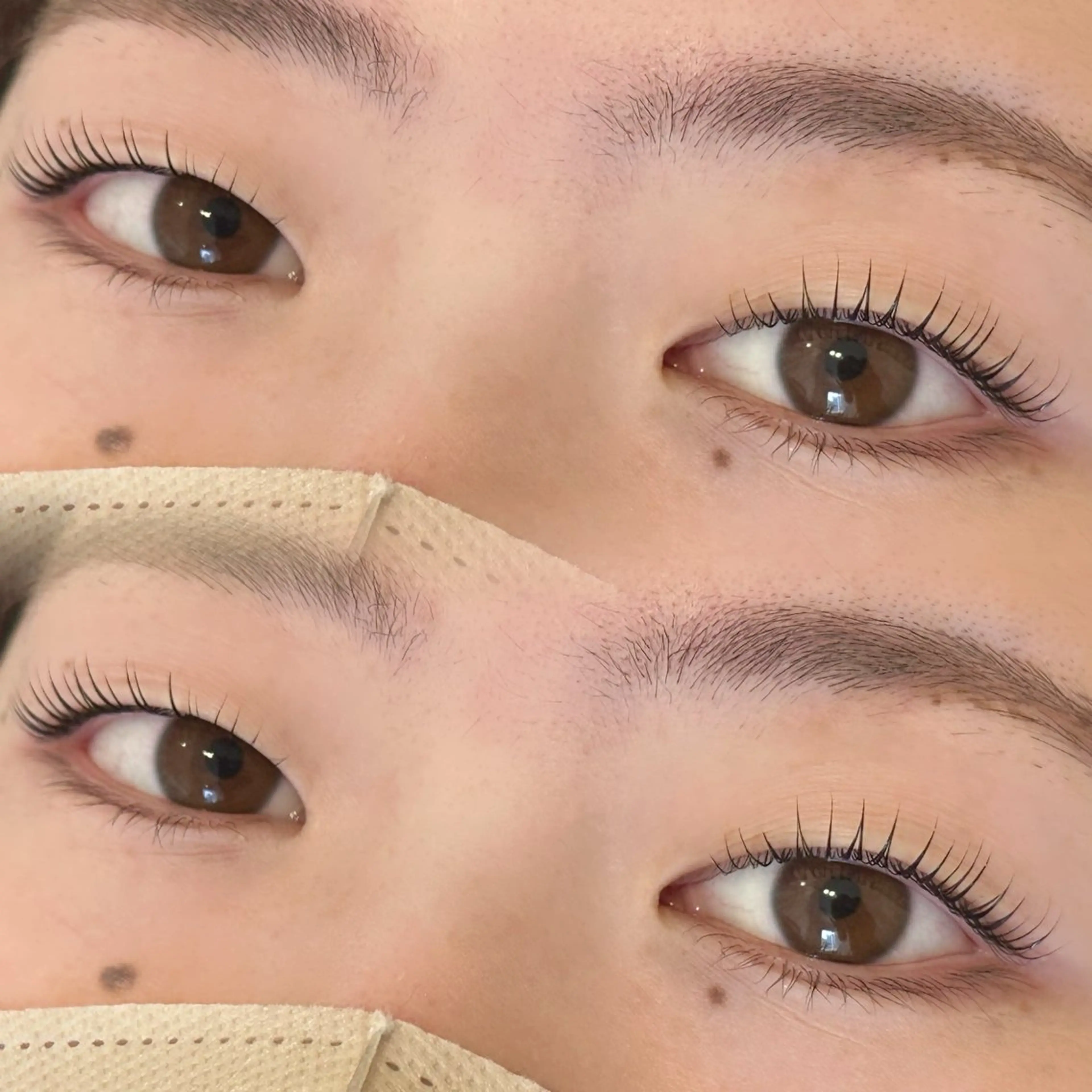 【ご新規様🤍】上下まつげパーマ＋美容液コーティング💞の写真