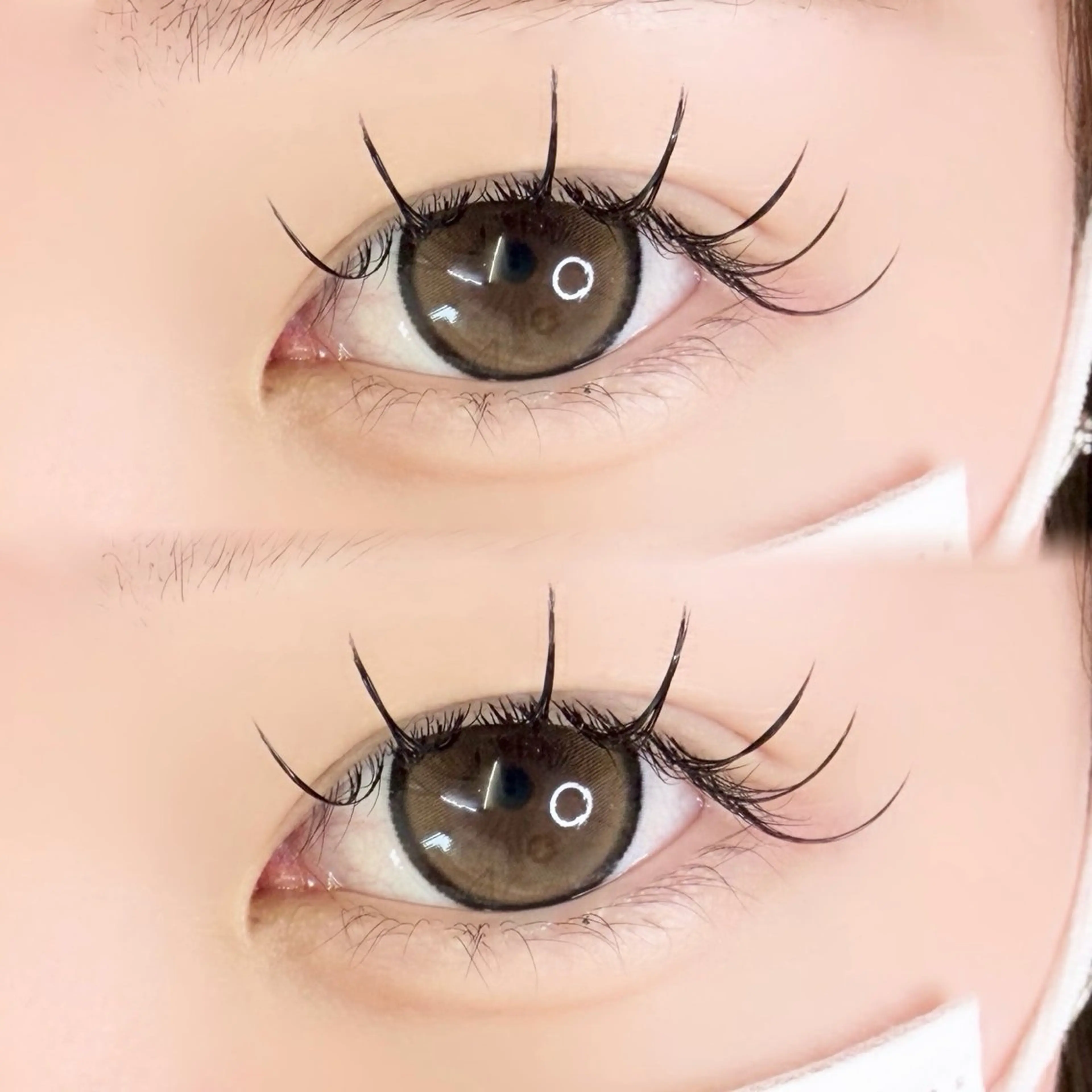 3・4月限定/まつエクモデル様募集中🎀/オフ込み/​〜​100本/普通接着剤使用の写真