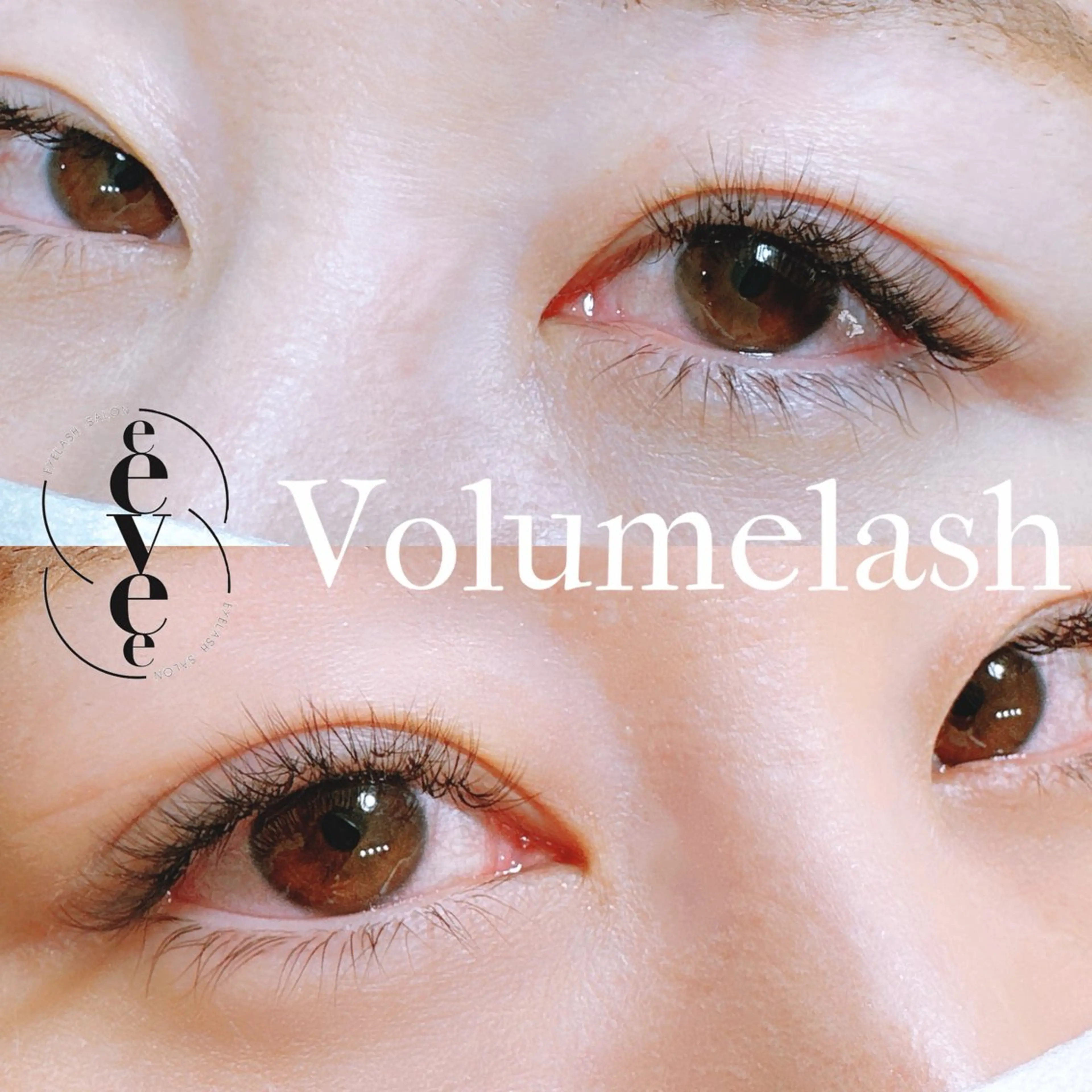 初回限定☆ボリュームラッシュ50束の写真