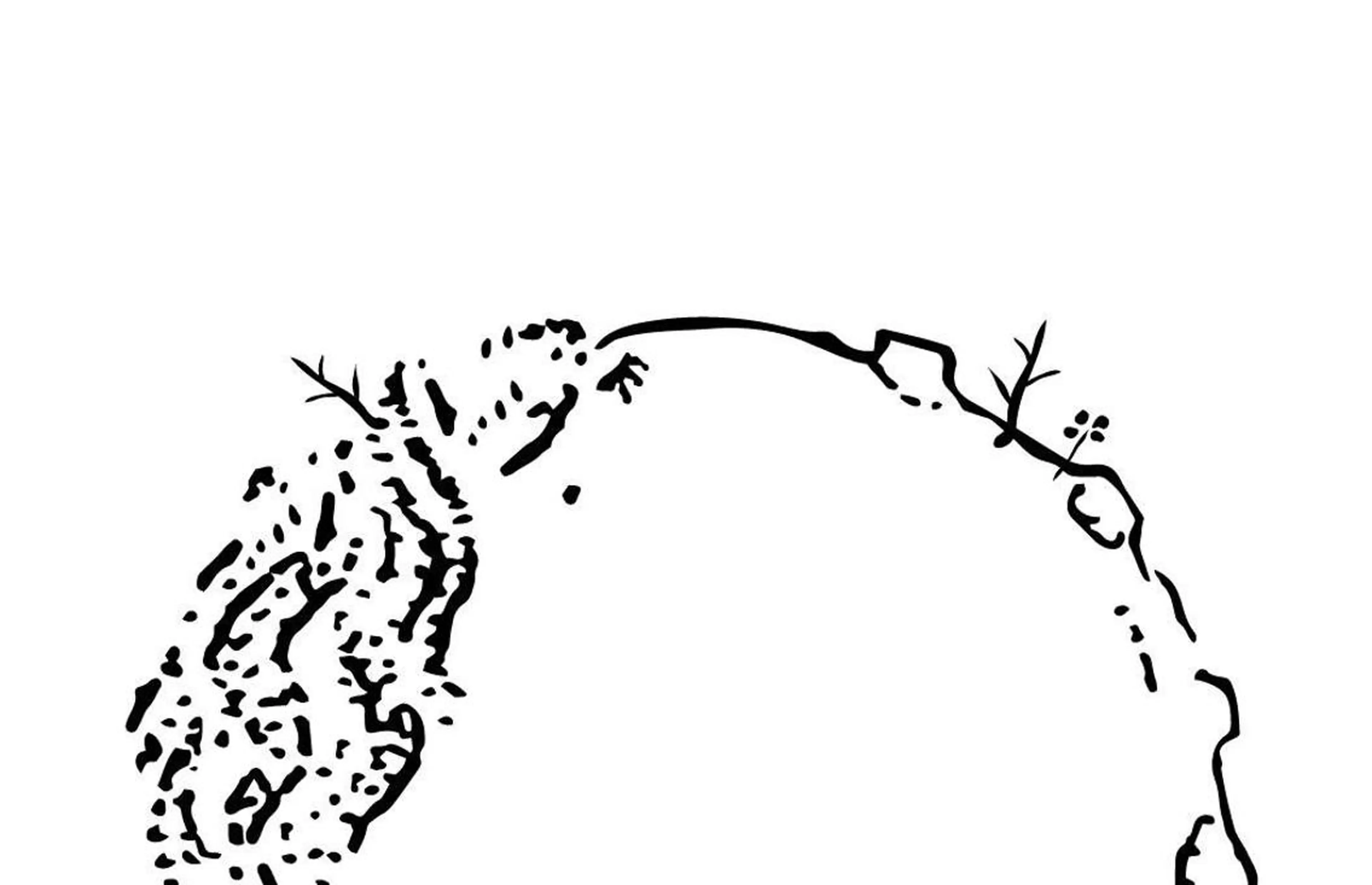 マツエク・マツパ Rom Floraのマツエク・マツパデザイン