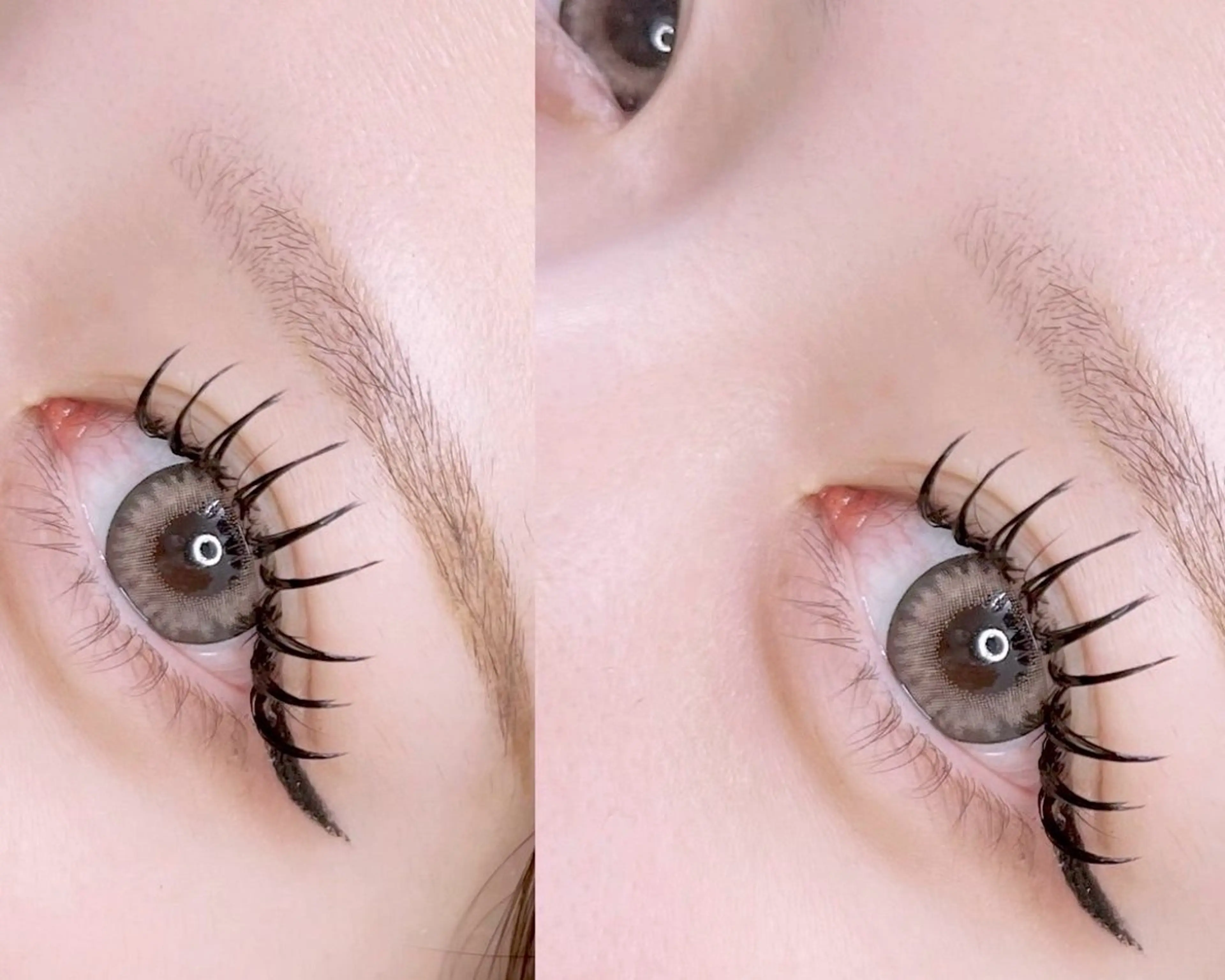 バインドロック学割100束/ミニモ特別価格(オフ込みコーティング付き)¥6900の写真