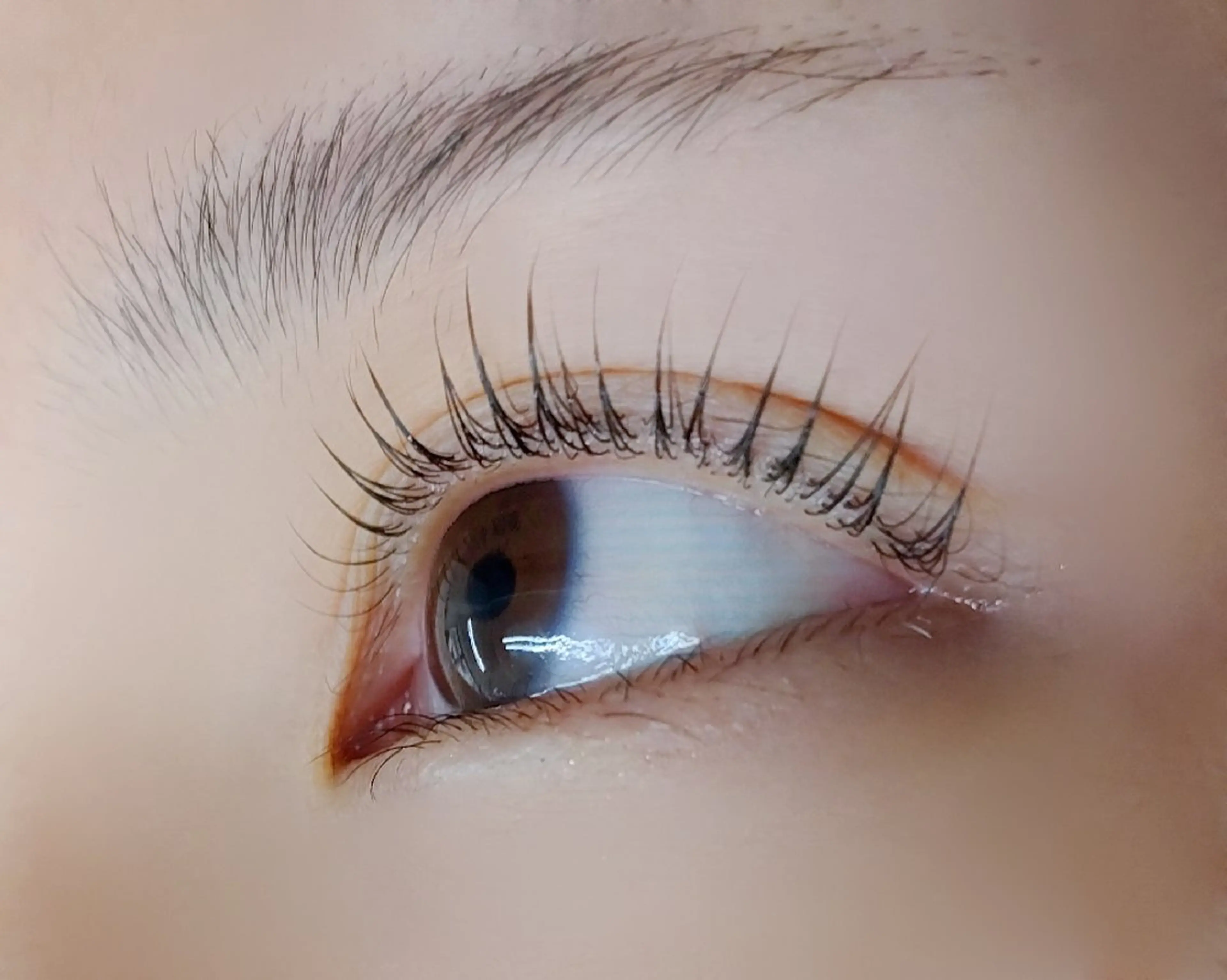 ❤️選べる❤️ラッシュリフト、パリジェンヌ 美容コーティング仕上げの写真