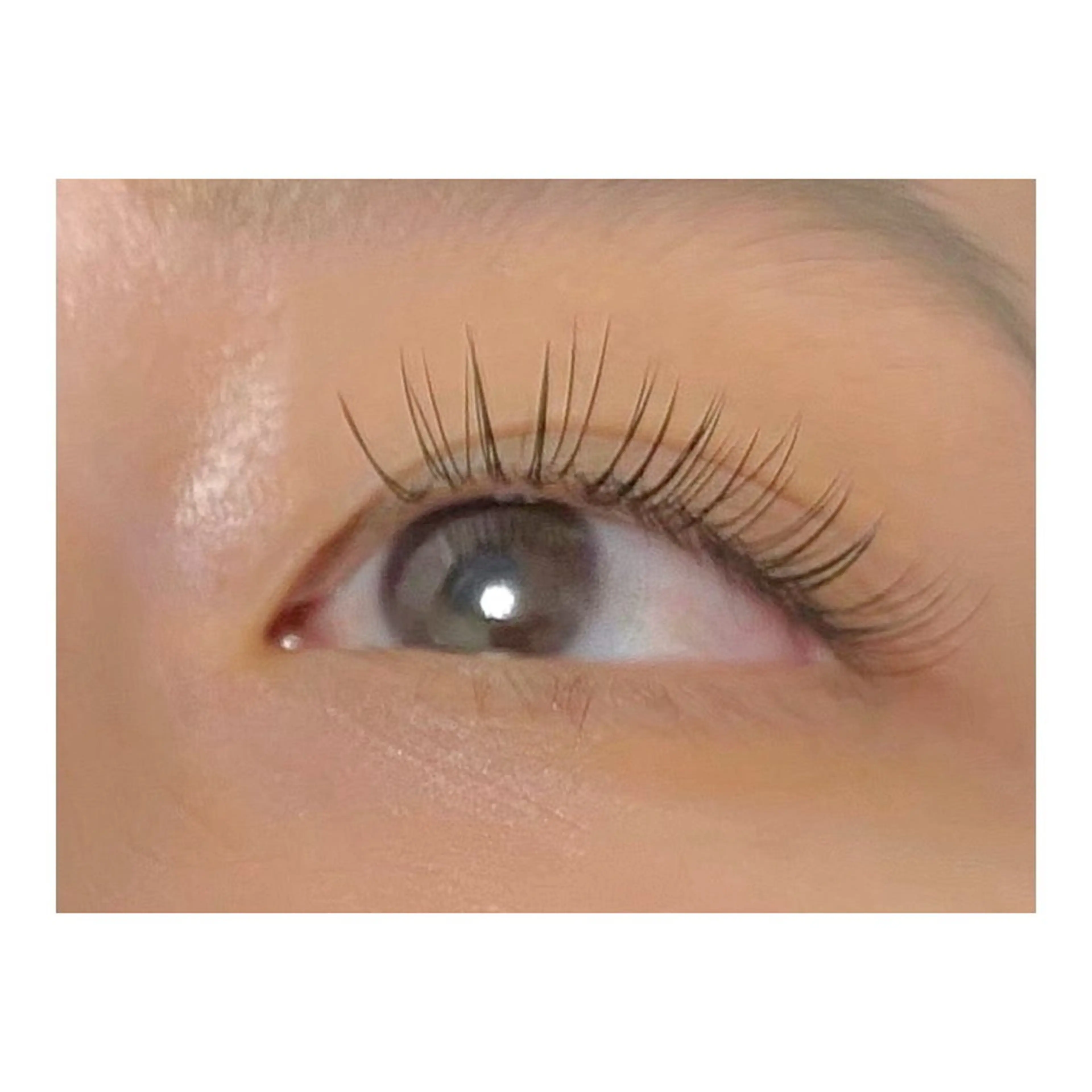 バインドロック100束の写真