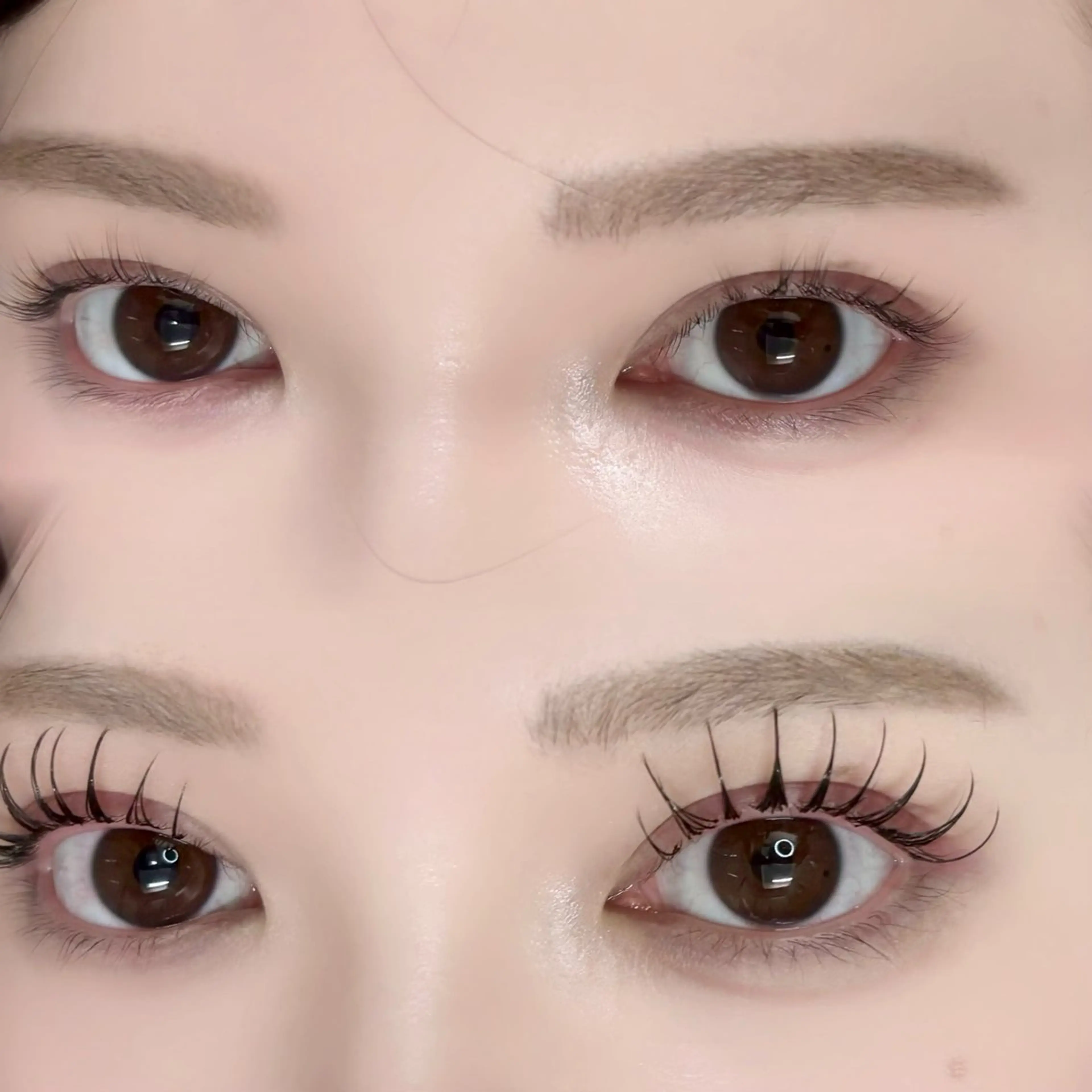 マツエク・マツパ 束感まつ毛 Dカール フラットラッシュ マツエク Jewel‪新宿 eye/misatoのマツエク・マツパデザイン