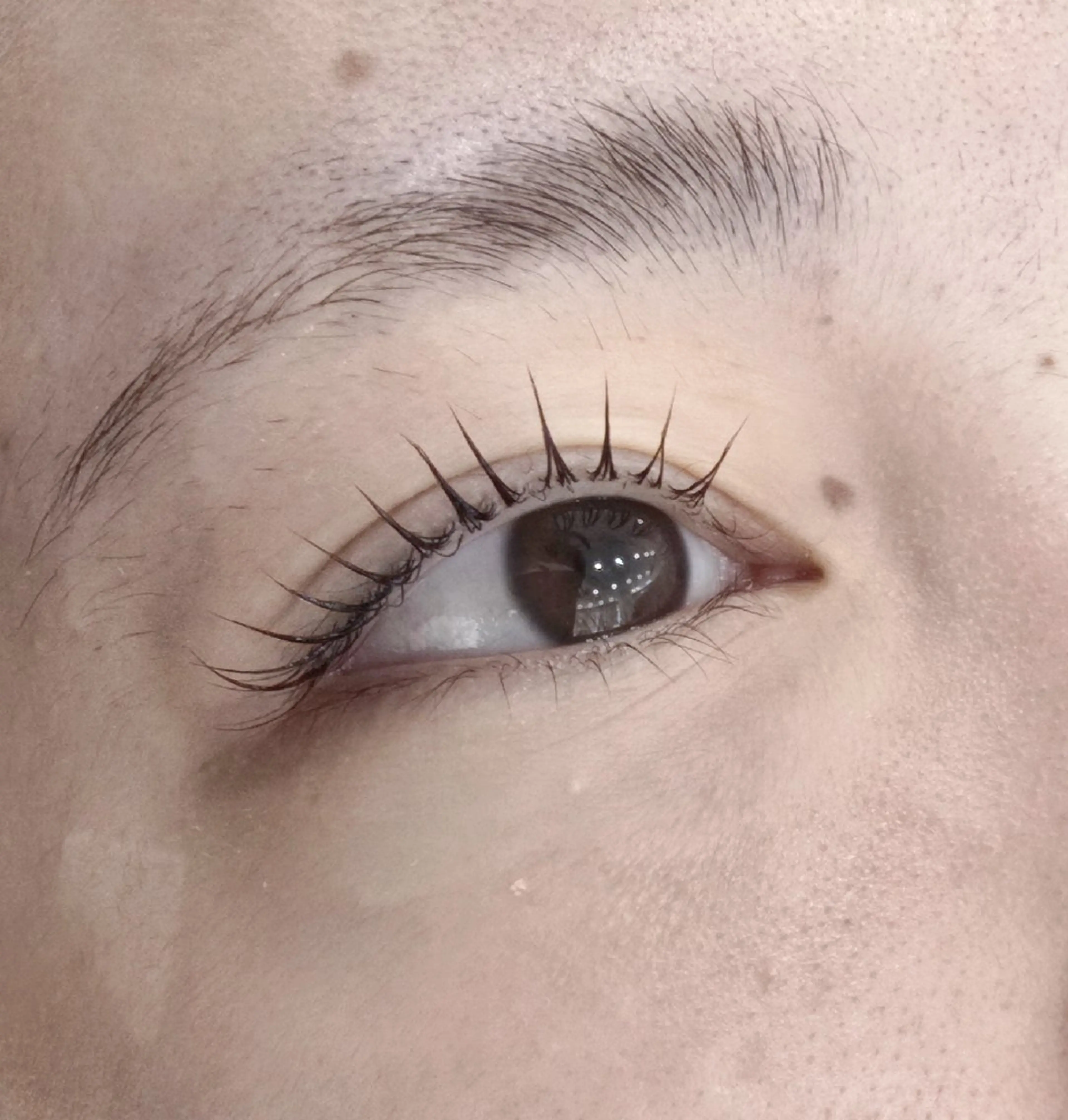 マツエク・マツパ パリジェンヌラッシュリフト マリーテレジア NAGATSUNAのマツエク・マツパデザイン