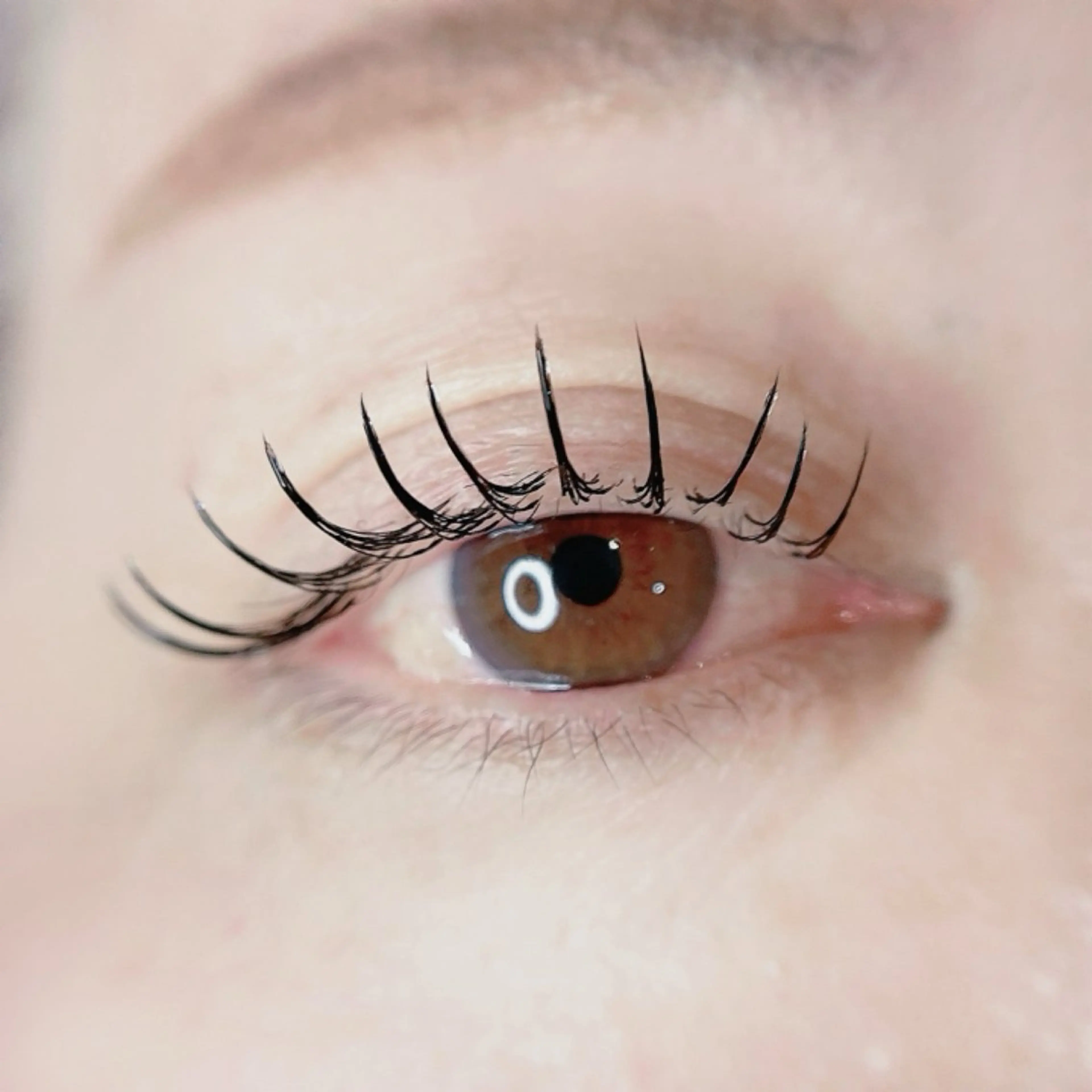 マツエク・マツパ cococherin所属・araki 🧸💭のマツエク・マツパデザイン