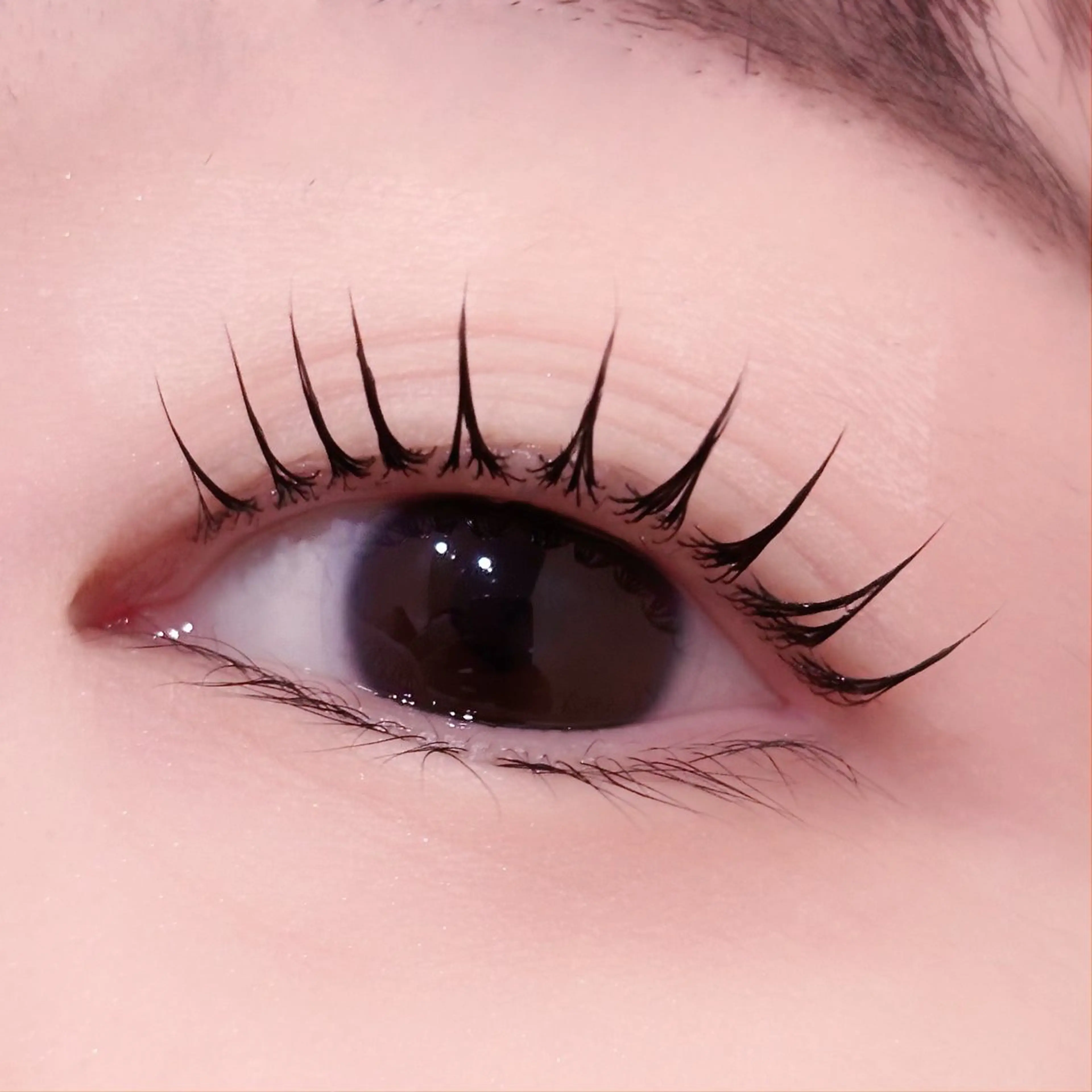 12/30ご来店者様限定⭐️韓国風束間仕上げ🪄🧸パリジェンヌorラッシュリフト🎀の写真