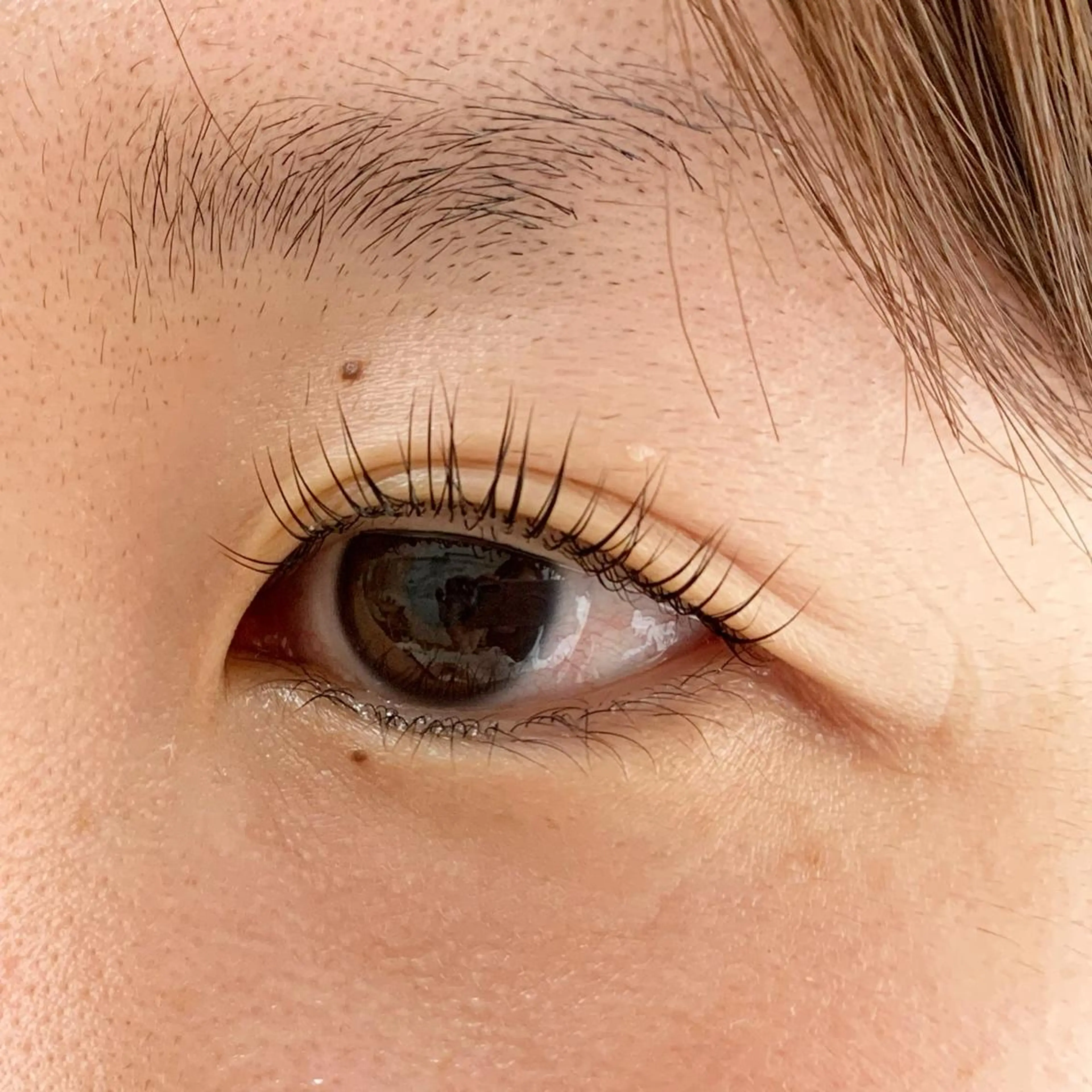 マツエク・マツパ cocorire所属・cocorire OTAのマツエク・マツパデザイン