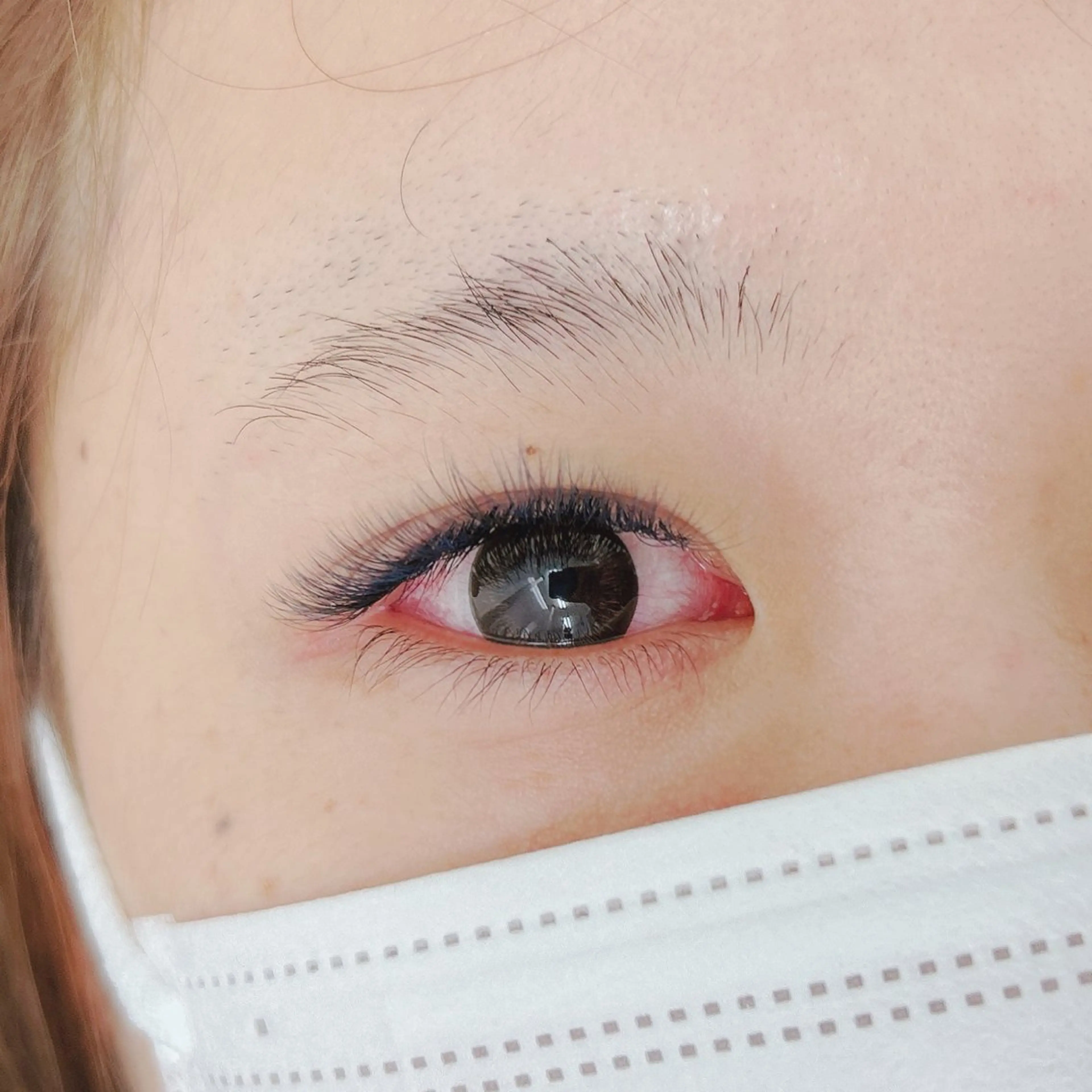 ボリュームラッシュ100束の写真