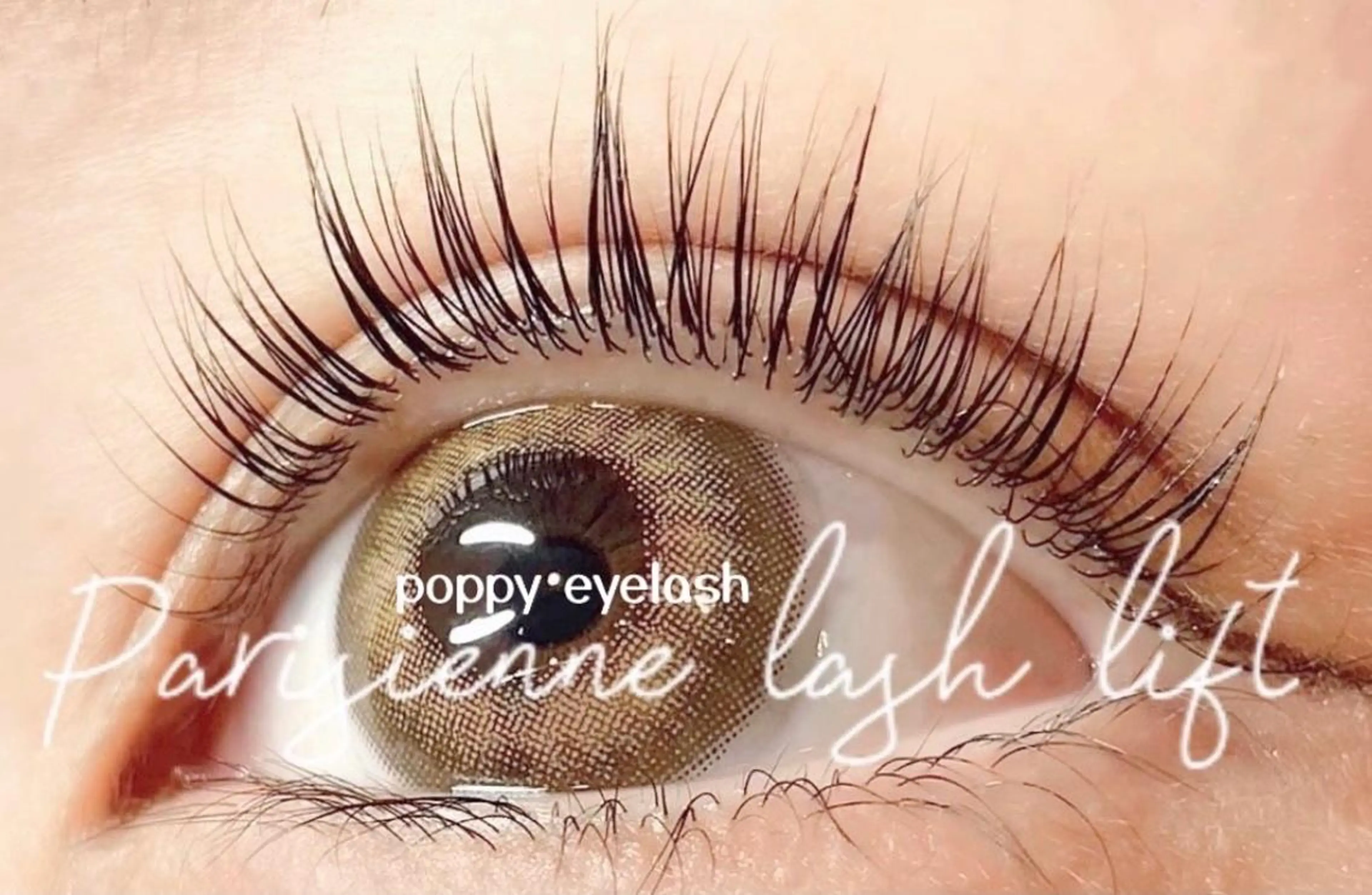 マツエク・マツパ パリジェンヌラッシュリフト POPPY eyelash 川崎本店所属・モデル募集 POPPY 川崎のマツエク・マツパデザイン