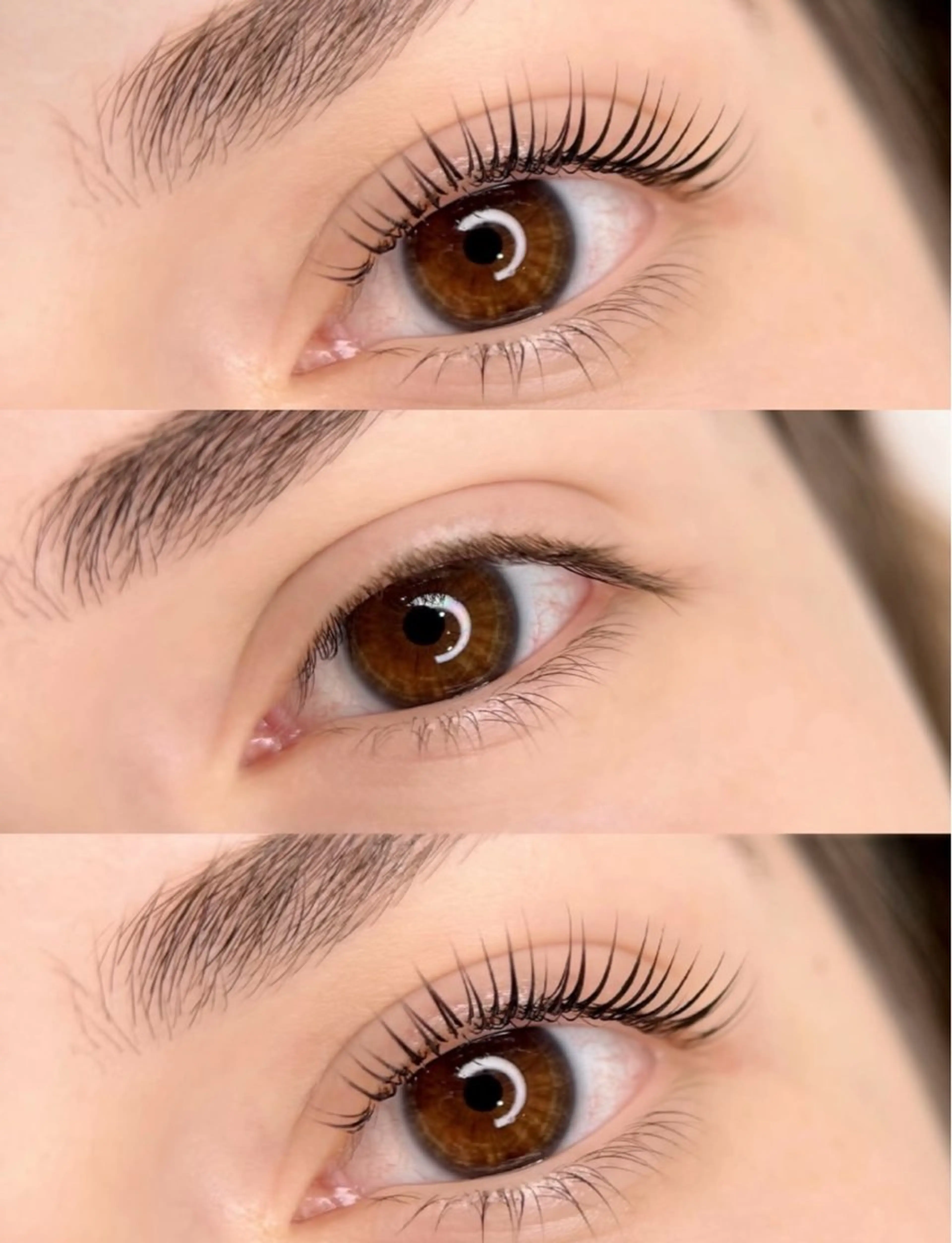 人気No 1 韓国束感 まつげ パーマ 🦋　(束間コーティング仕上げ付き, アイパック付きの写真