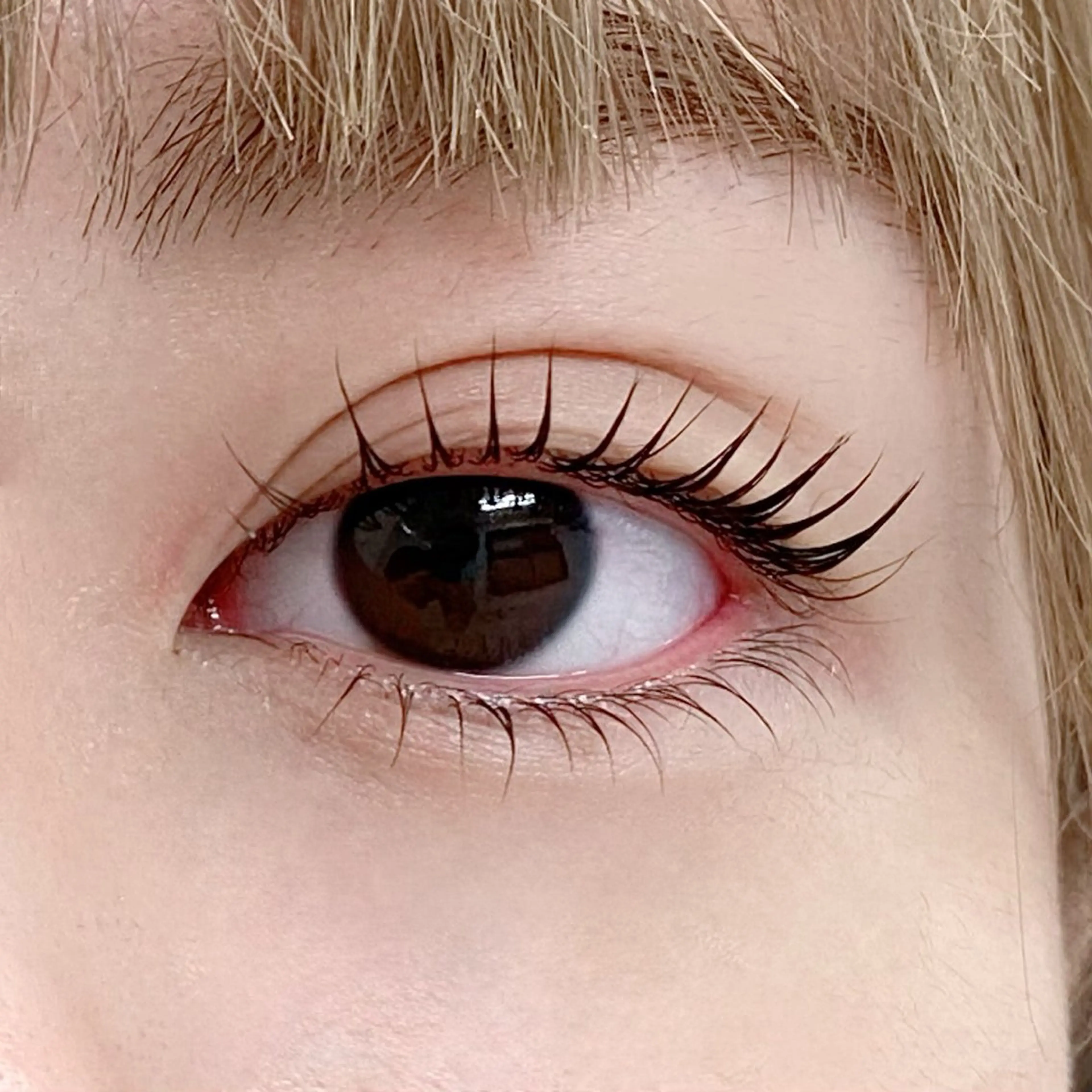 マツエク・マツパ まつげパーマ サクラ Bianca市川店のマツエク・マツパデザイン