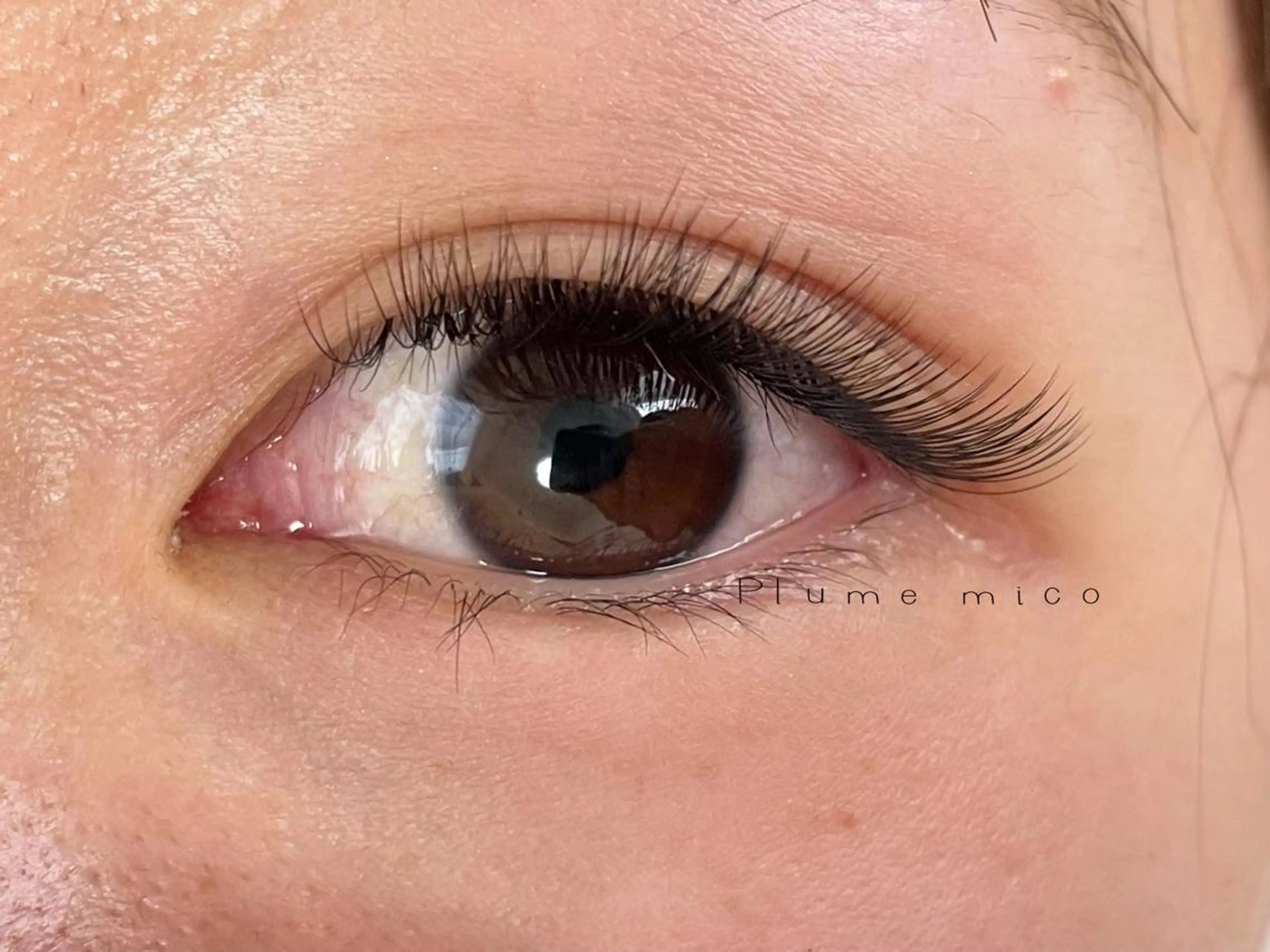 マツエク・マツパ マツエク Plume micoのマツエク・マツパデザイン