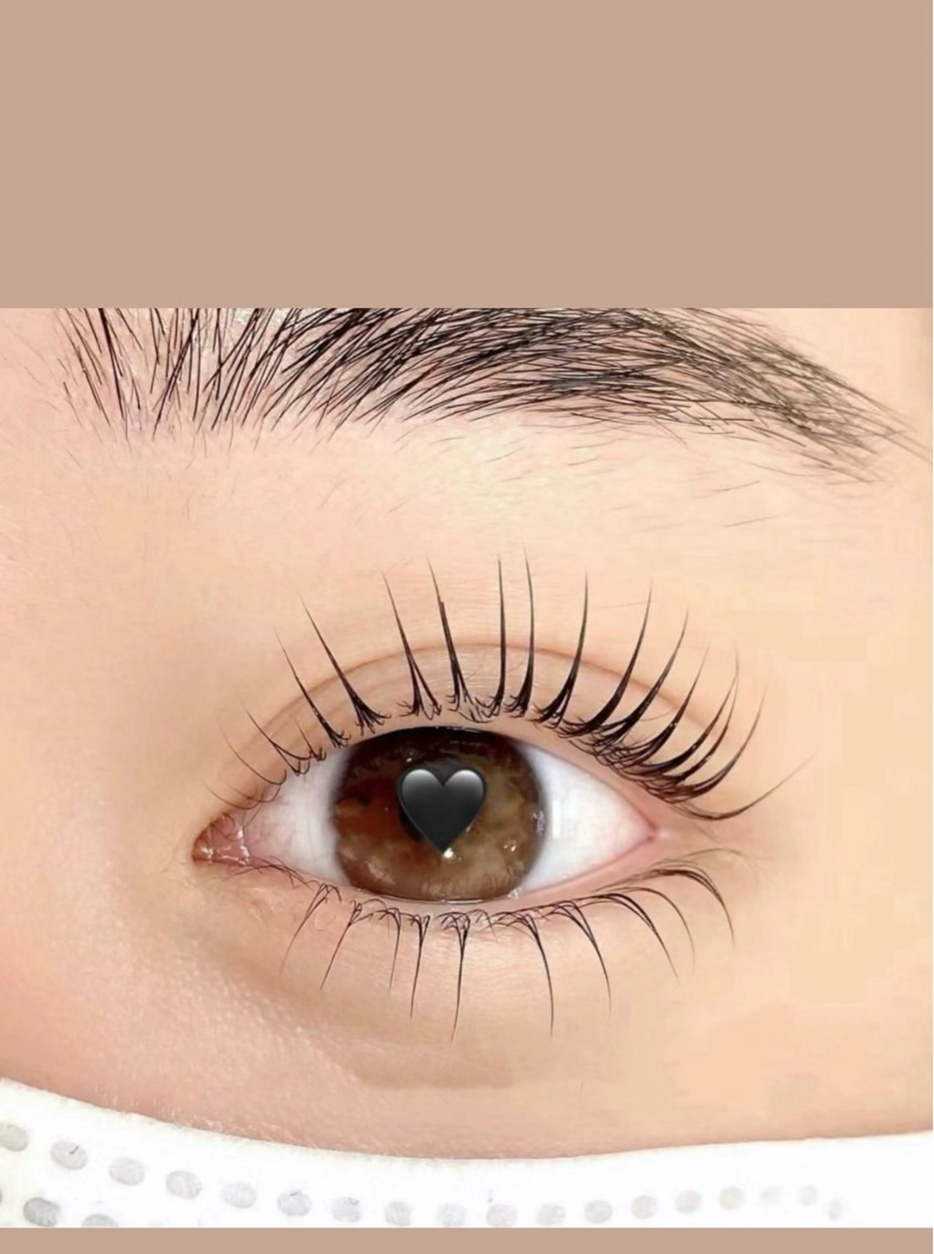 ❤️‍🔥👑ラッシュリフト上➕下😻❤️‍🔥　美容液付きの写真