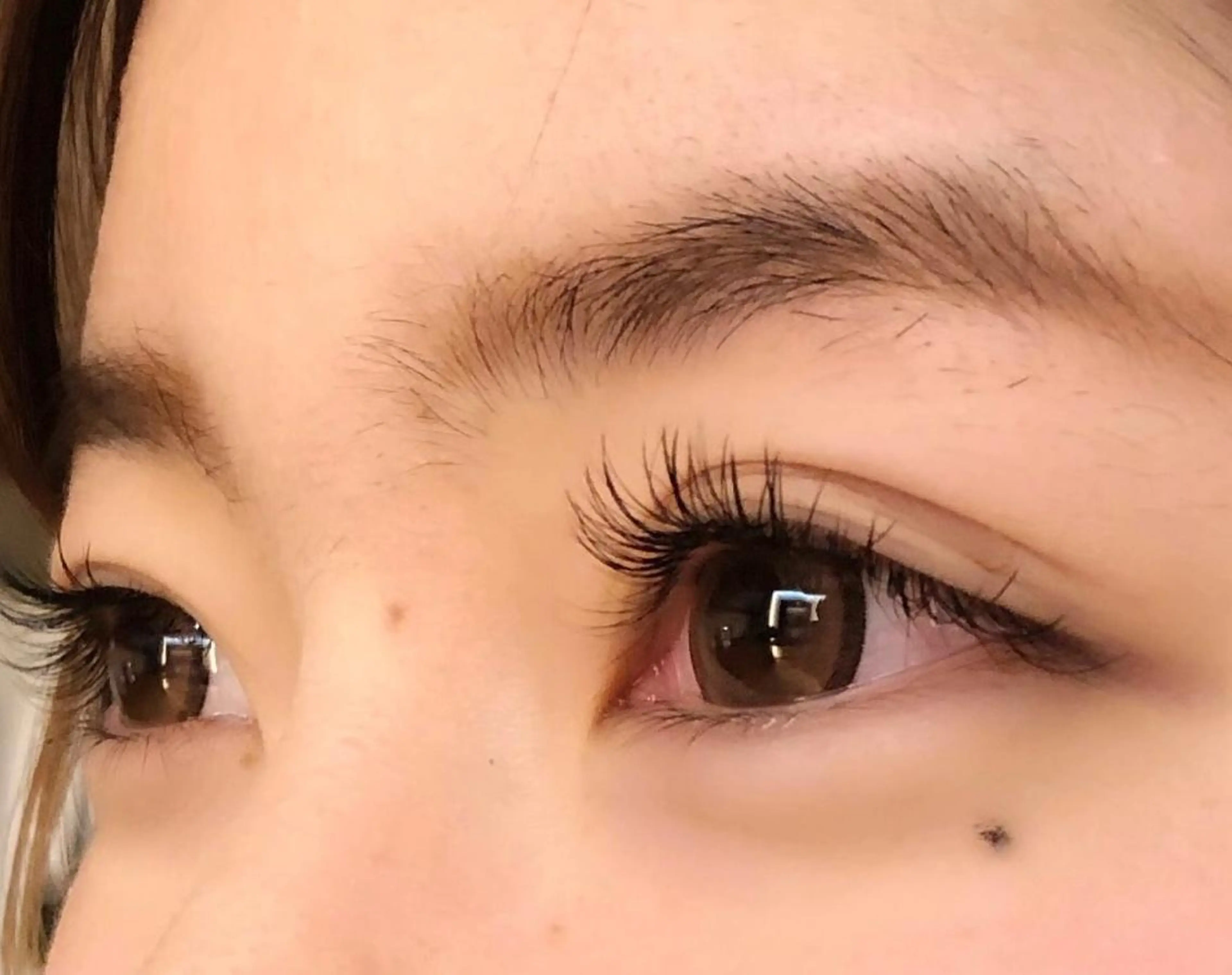 大人気フラットラッシュ140本の写真