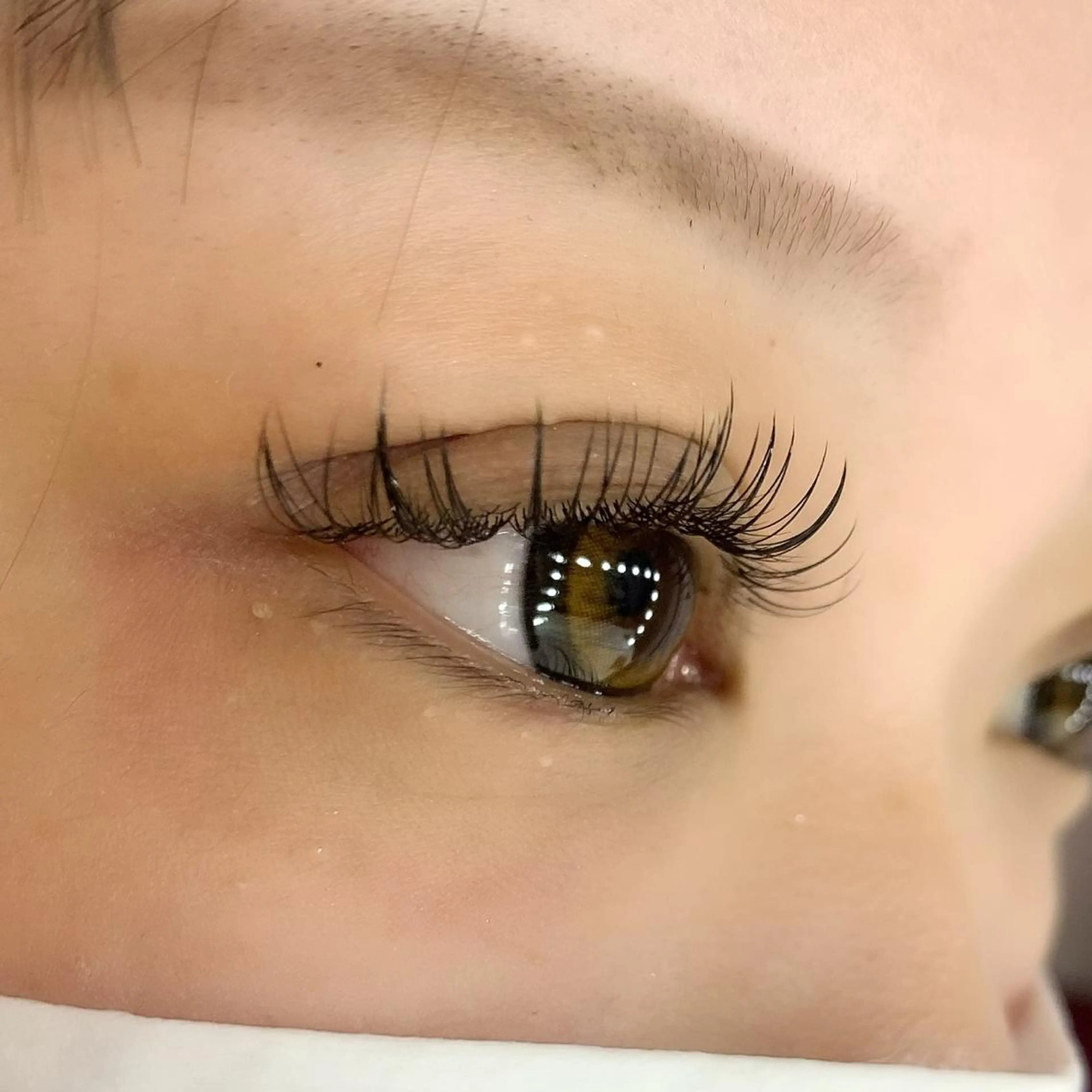 マツエク・マツパ 付け放題 フラットラッシュ Celeste Venus所属・🧸Celeste Venusのマツエク・マツパデザイン