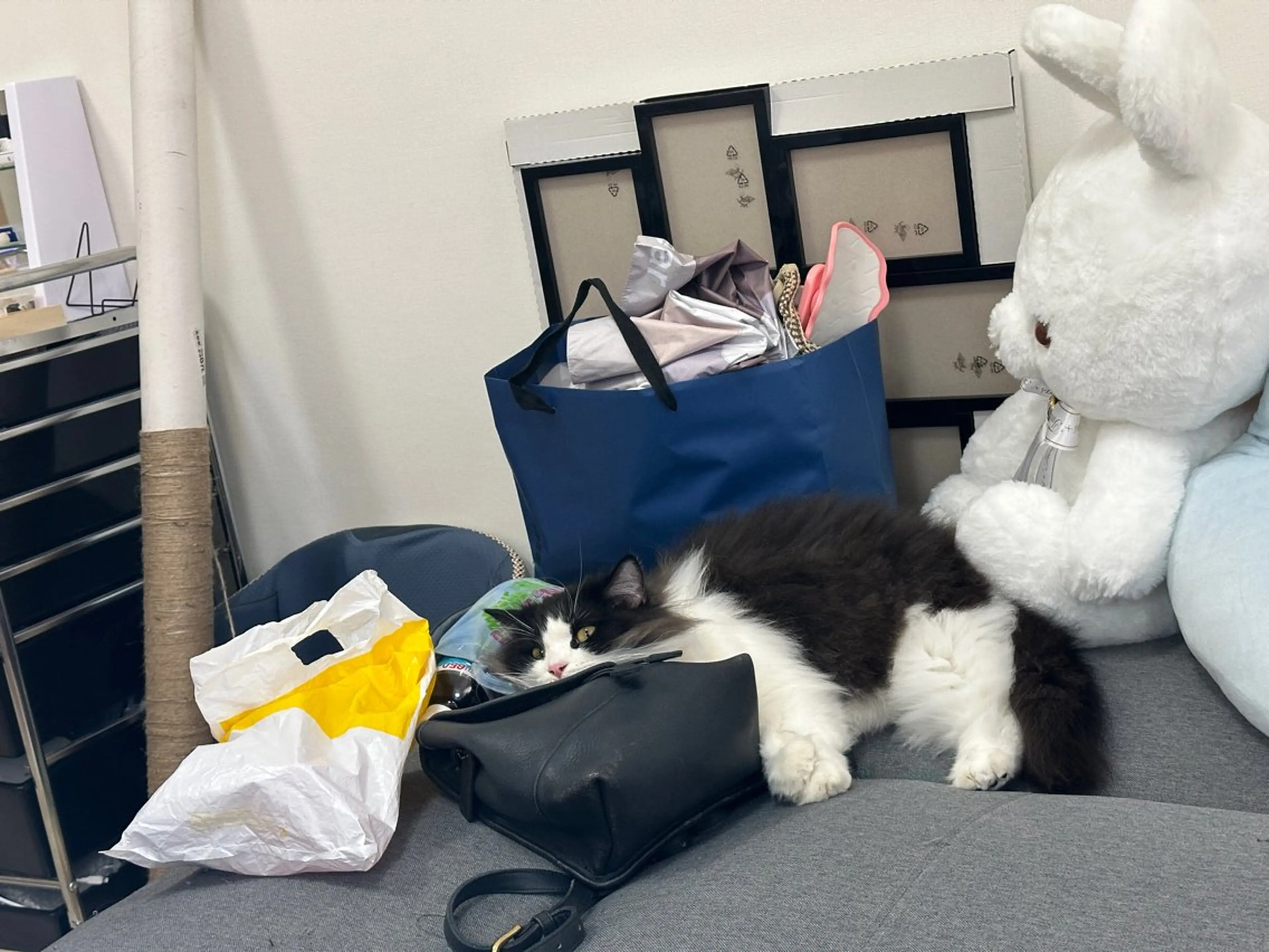 ネイル Eveネイル チップスカルプ専門店のネイルデザイン