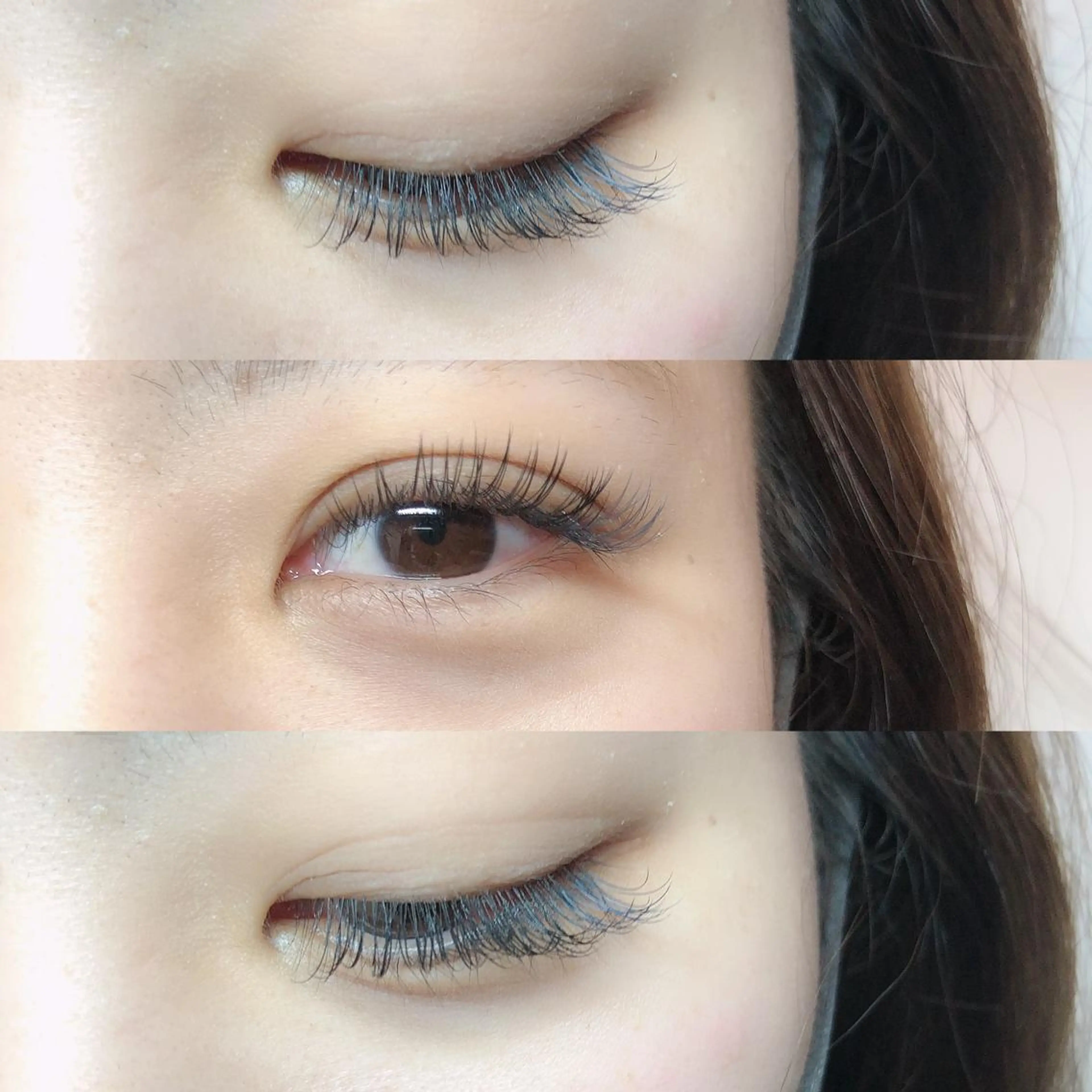 ご予約前に記載事項をお読み下さい🌱☘️ フラットマットラッシュ140本の写真