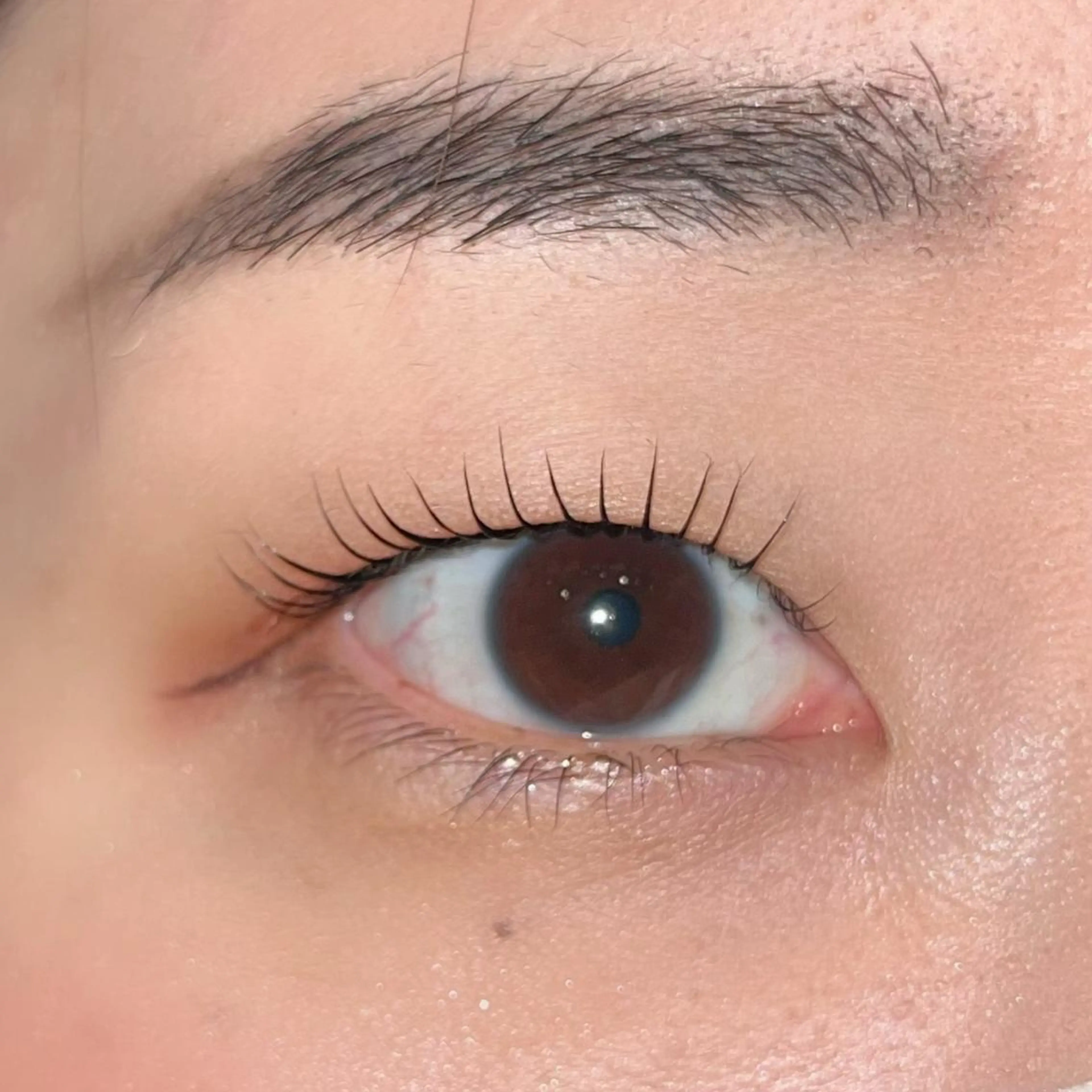 マツエク・マツパ パリジェンヌラッシュリフト まつげパーマ 一重×まつ毛パーマ ai一重専門🎀束感 まつげ🫧表参道のマツエク・マツパデザイン