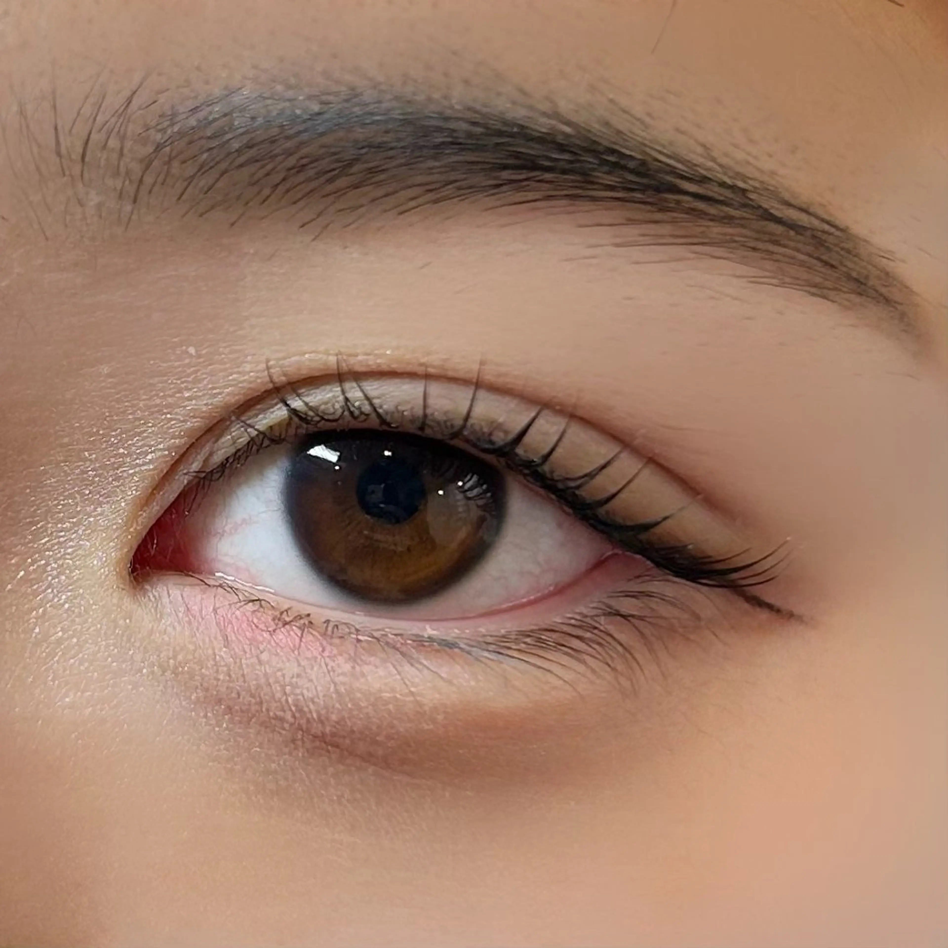 マツエク・マツパ PLUME momokaのマツエク・マツパデザイン