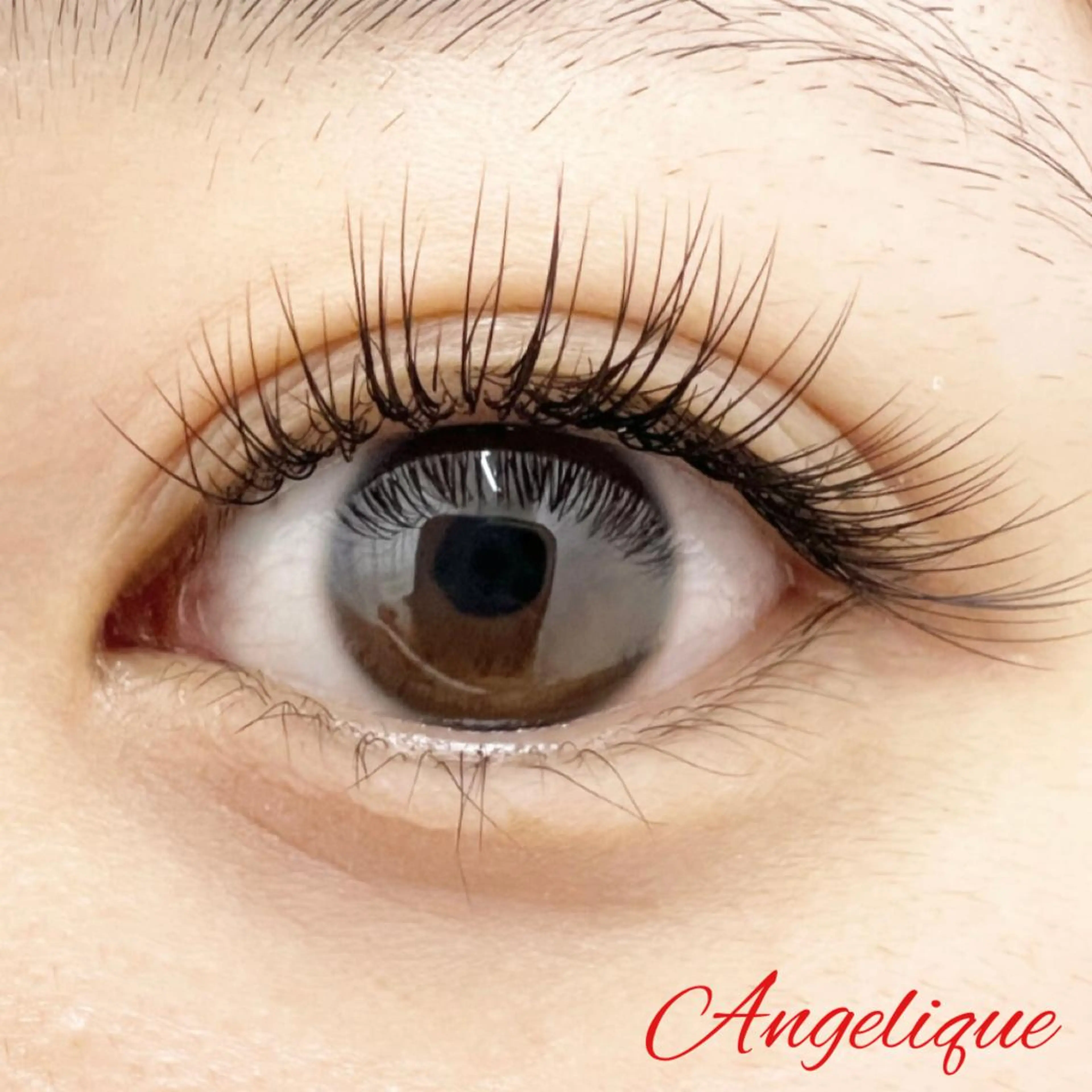 マツエク・マツパ キュート 田村 莉子のマツエク・マツパデザイン