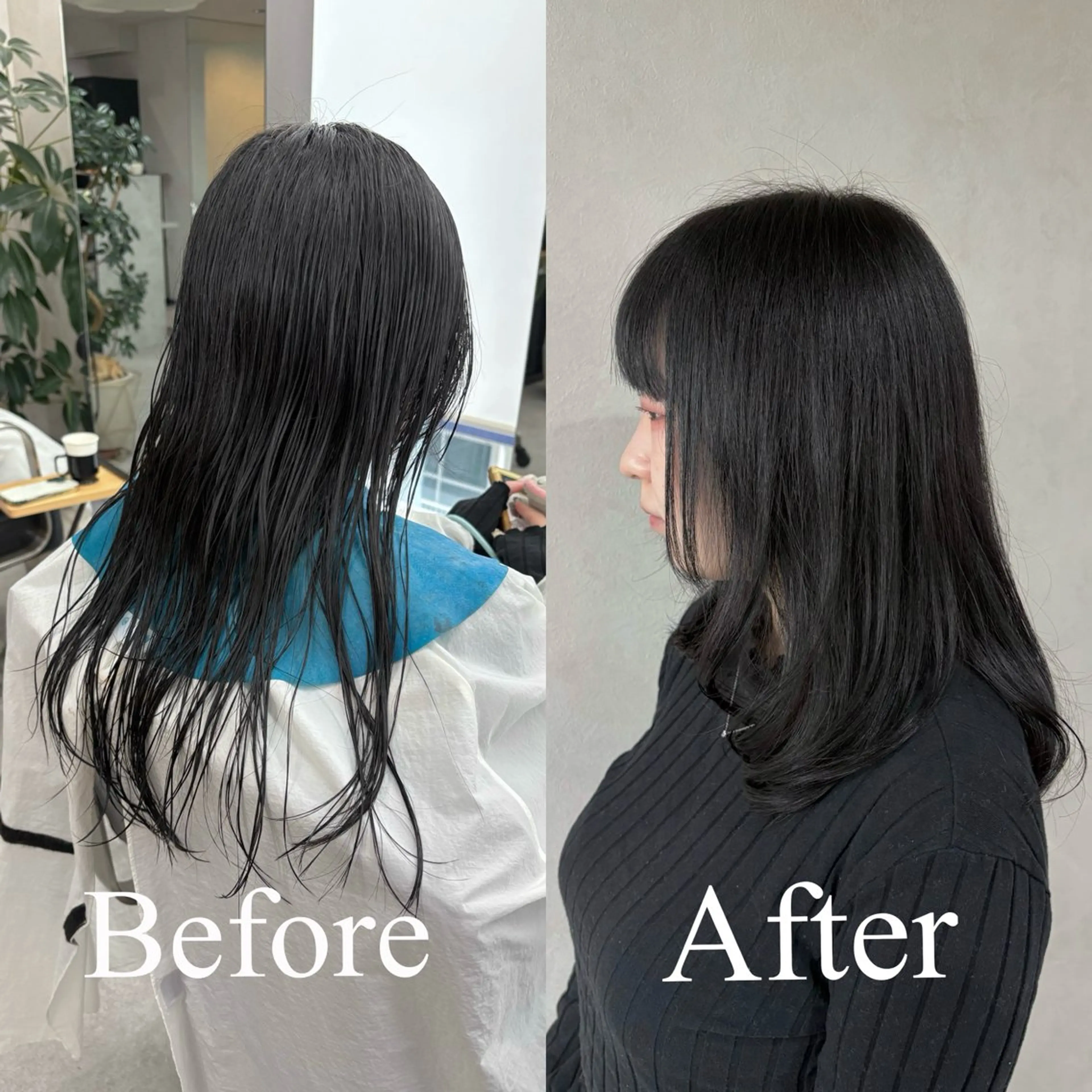 セミロング カラー 黒髪 レイヤーカット カット ヘアカラー トリートメント qumu 横浜所属・🌿ショート/ボブ/ 透明感カラー🌿神永のヘアスタイル