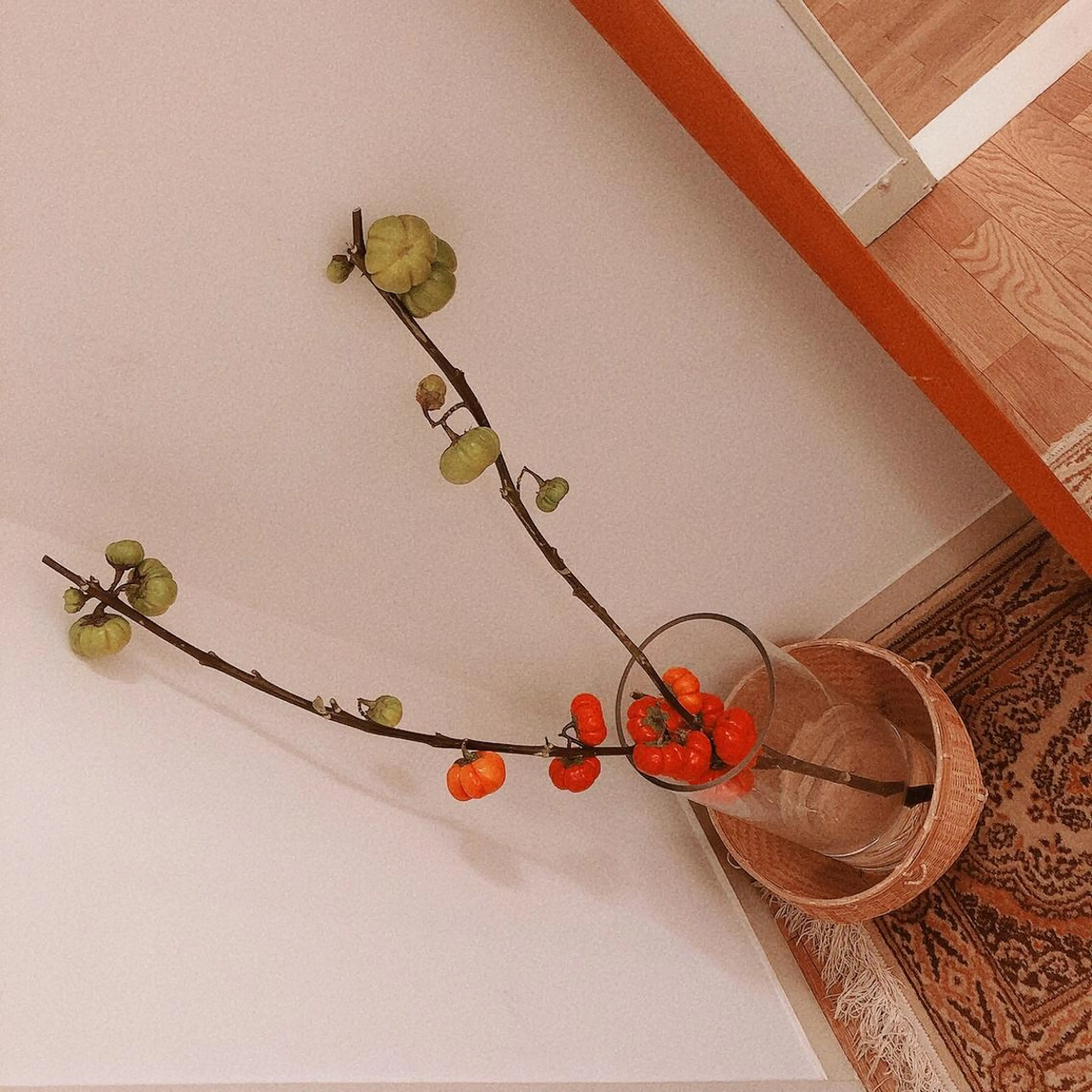 マツエク・マツパ なかむら 🪡のマツエク・マツパデザイン