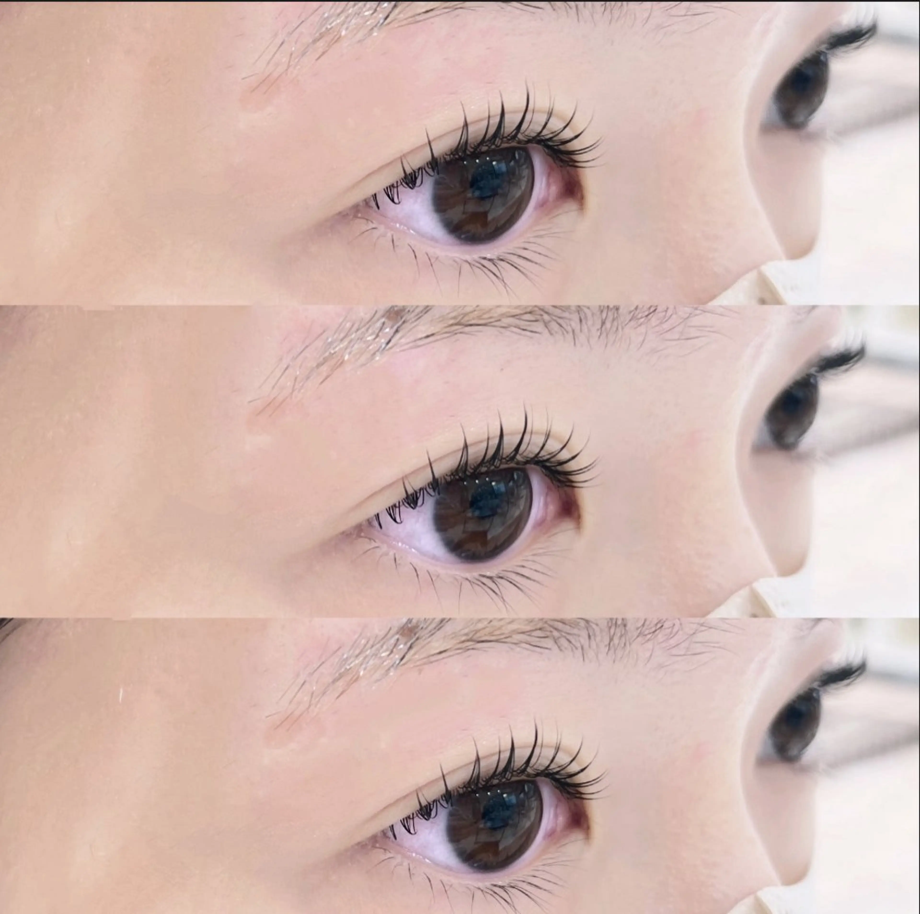 1月お正月お得クーポン目元ぱっちり！✨超大人気！【パリジェンヌ風マツパ】コーティング付💍瞼全体リフトUP⏰の写真