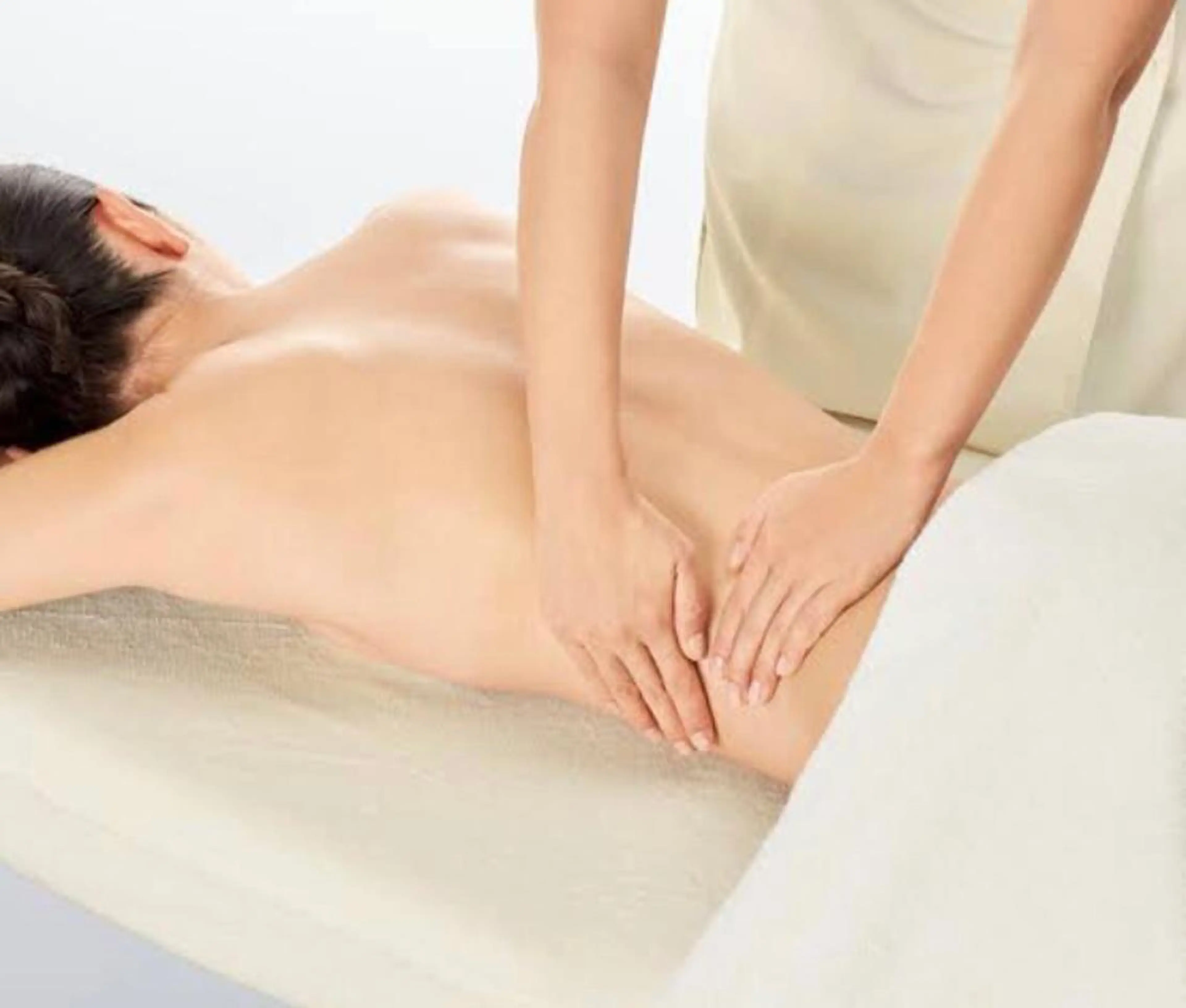 バック&アーム（取扱店限定）の写真