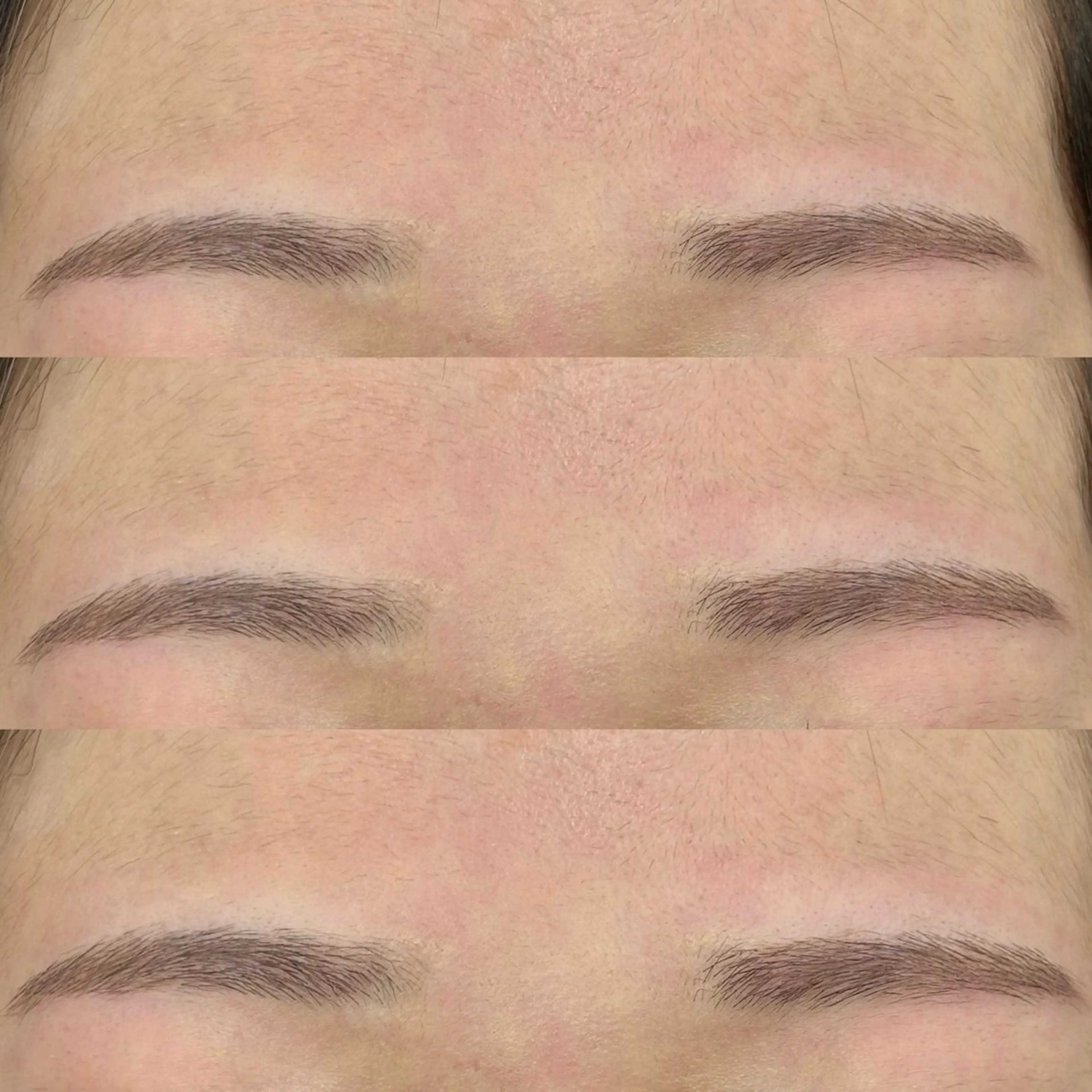 アイブロウ 井上 真子の眉毛・アイブロウイメージ