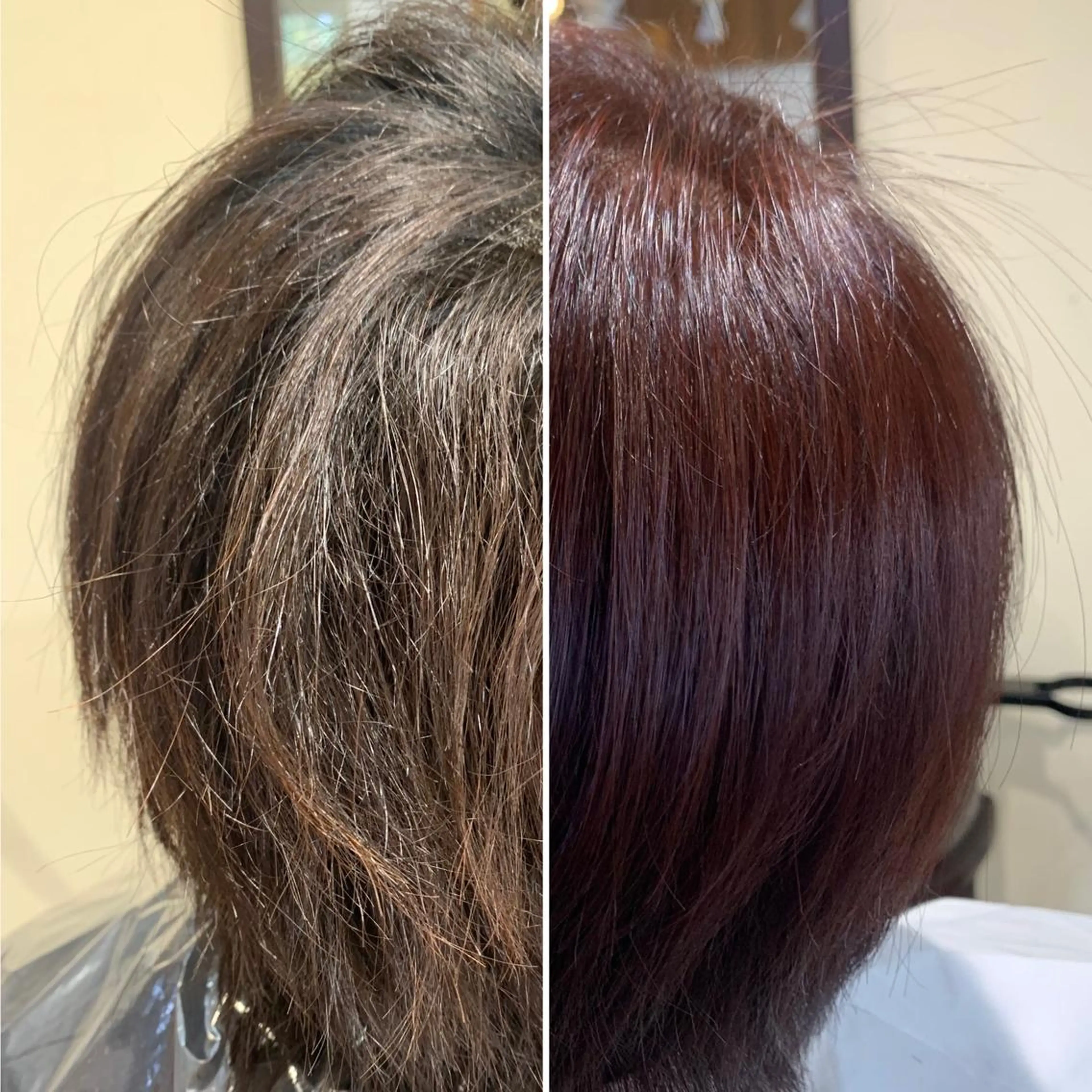 ショート カラー トリートメント カット ヘアカラー トリートメント brote所属・髪質改善/山根勇平 /完全マンツーマンのヘアスタイル