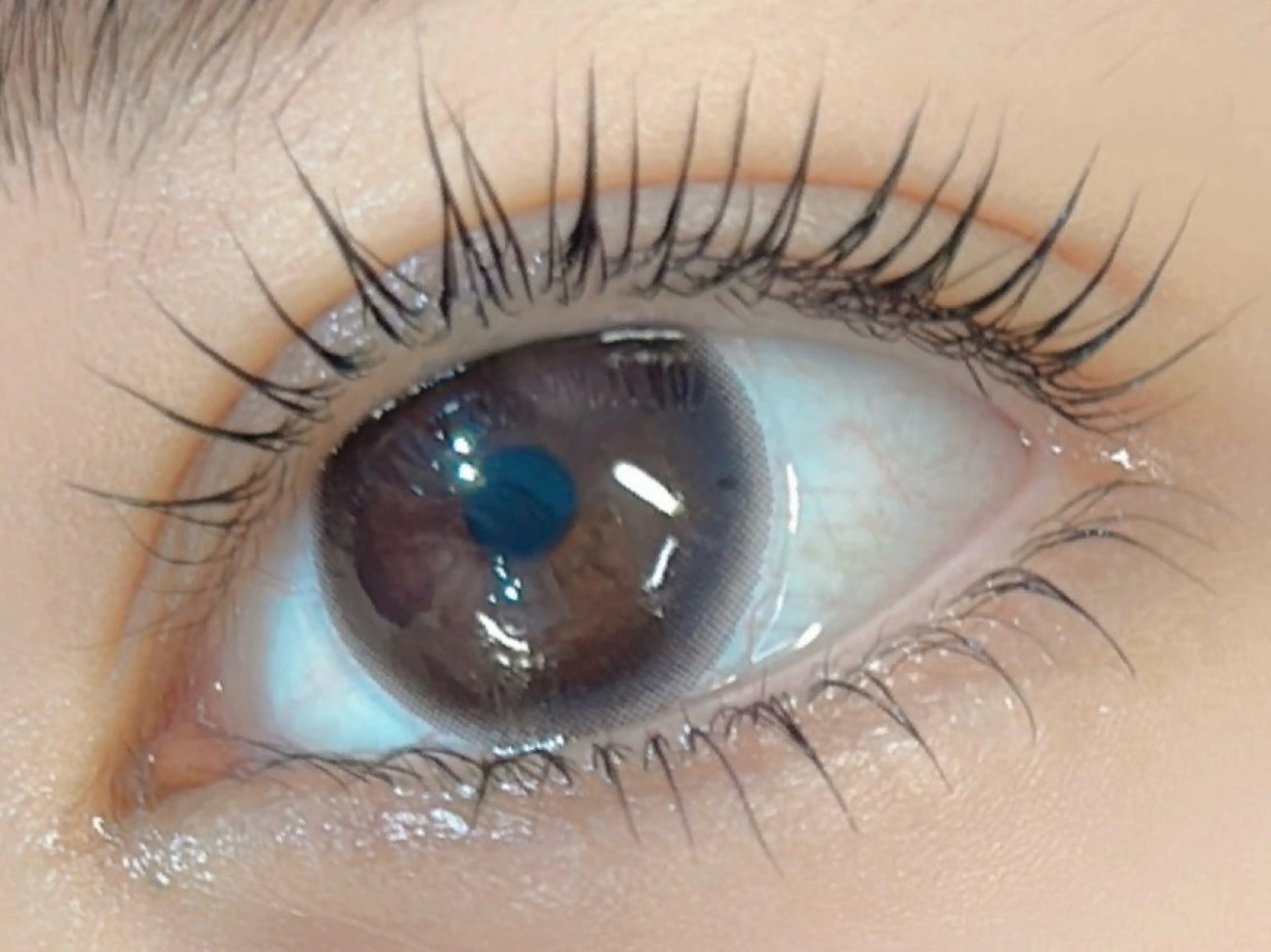 マツエク・マツパ 下まつげエクステ 一重×まつ毛パーマ Pixie Bob 🐈‍⬛　位田のマツエク・マツパデザイン