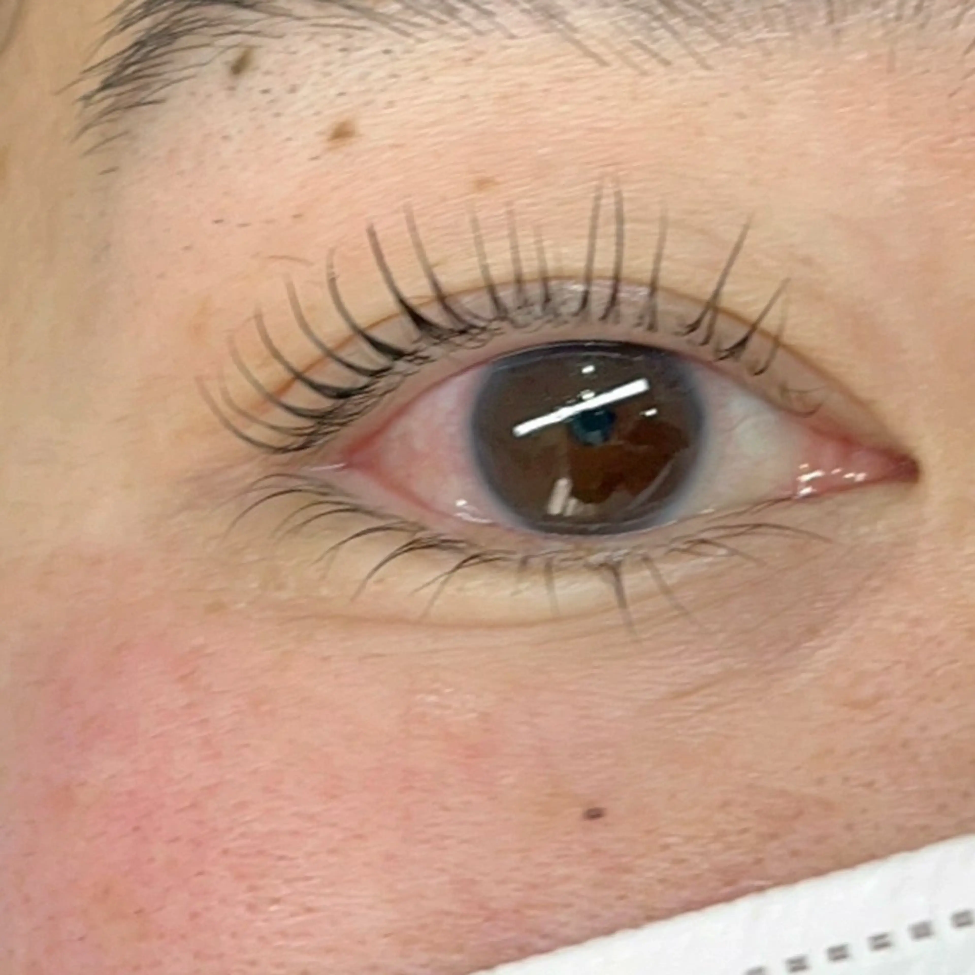 マツエク・マツパ sHeeR【シアー】 ハマナカのマツエク・マツパデザイン