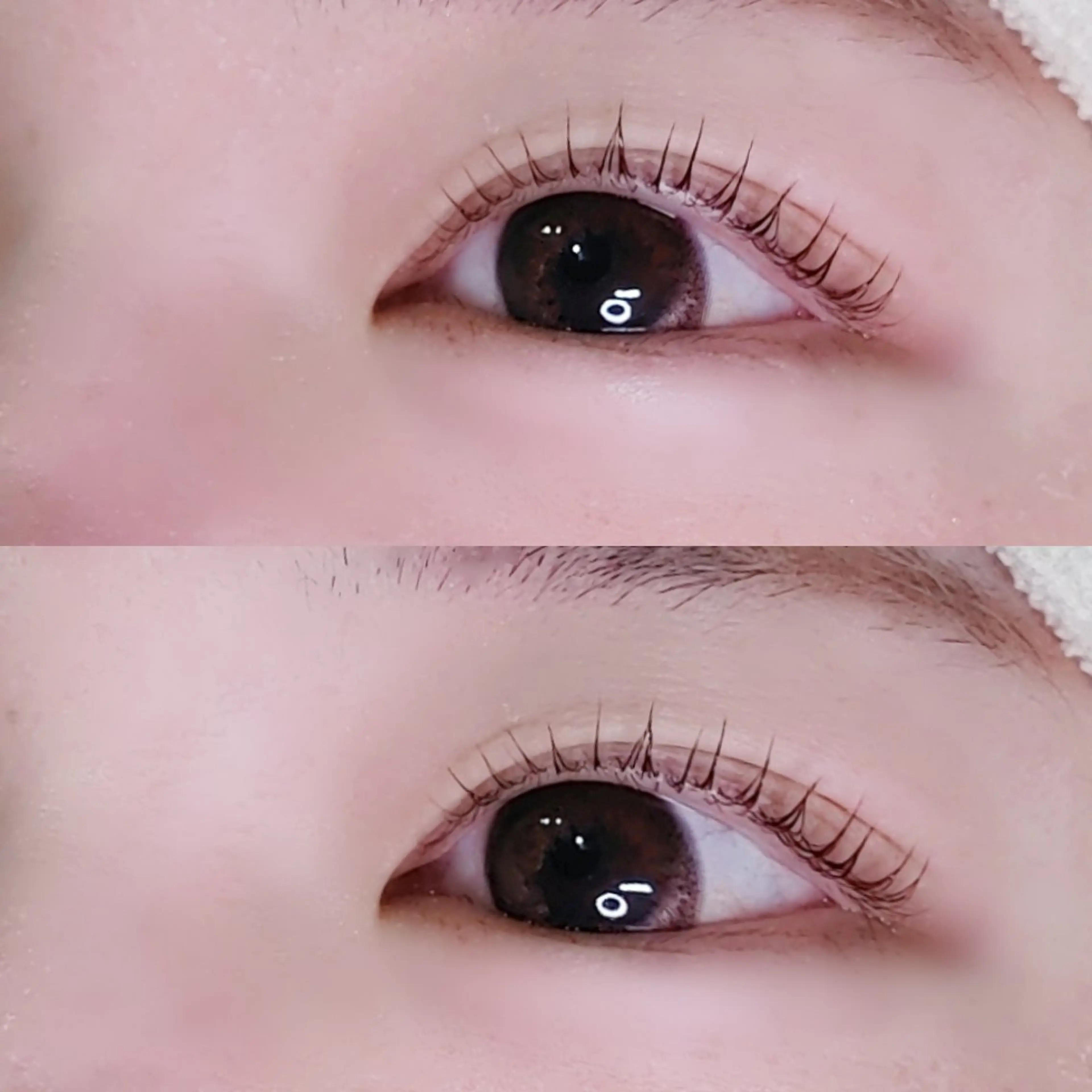 マツエク・マツパ マツパ BEAUTE by Rendez-vous所属・【Unica】まつげ いしくらりかのマツエク・マツパデザイン